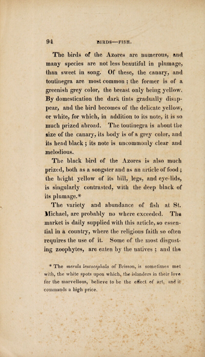 The birds of the Azores are numerous, and many species are not less beautiful in plumage, than sweet in song. Of these, the canary, and toutinegra are most common ; the former is of a greenish grey color, the breast only being yellow. By domestication the dark tints gradually disap¬ pear, and the bird becomes of the delicate yellow, or white, for which, in addition to its note, it is so much prized abroad. The toutinegra is about the size of the canary, its body is of a grey color, and its head black ; its note is uncommonly clear and melodious. The black bird of the Azores is also much prized, both as a songster and as an article of food ; the bright yellow of its bill, legs, and eye lids, is singularly contrasted, with the deep black of its plumage.* The variety and abundance of fish at St. Michael, are probably no where exceeded. The market is daily supplied with this article, so essen¬ tial in a country, where the religious faith so often requires the use of it. Some of the most disgust¬ ing zoophytes, are eaten by the natives ; and the * The merula leucocephalci of Brisson, is sometimes met with, the white spots upon which, the islanders in their love for the marvellous, believe to he the effect of art, and it commands a high price.