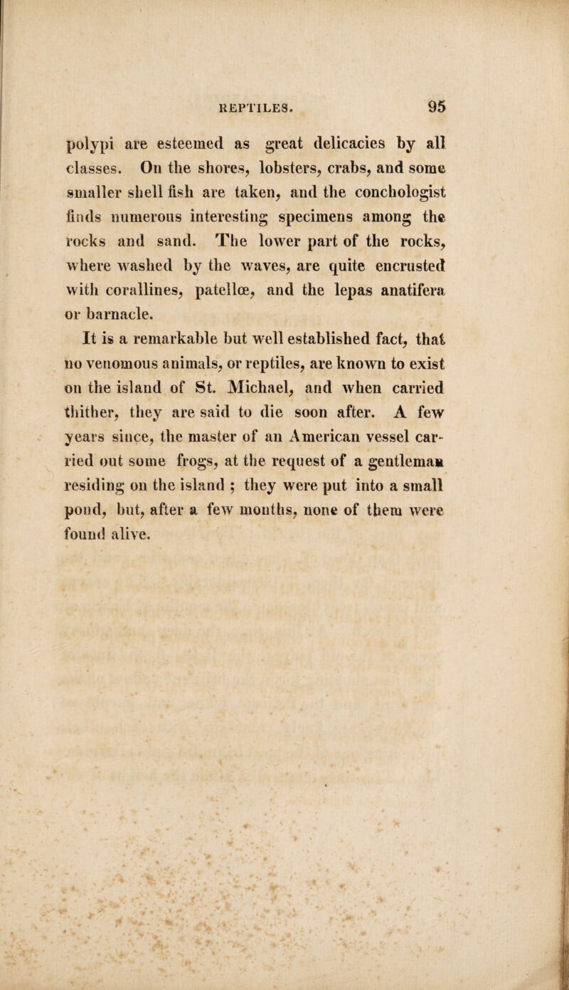 polypi are esteemed as great delicacies by all classes. On the shores, lobsters, crabs, and some smaller shell fish are taken, and the conchologist finds numerous interesting specimens among the rocks and sand. The lower part of the rocks, where washed by the waves, are quite encrusted with corallines, patellce, and the lepas anatifera or barnacle. It is a remarkable but well established fact, that no venomous animals, or reptiles, are known to exist on the island of St. Michael, and when carried thither, they are said to die soon after. A few years since, the master of an American vessel car¬ ried out some frogs, at the request of a gentleman residing on the island ; they were put into a small pond, but, after a few mouths, none of them were found alive.