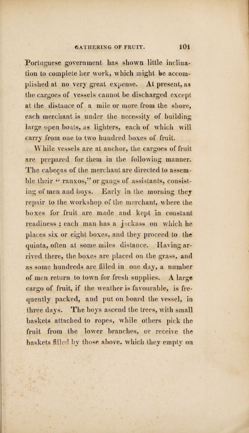 Portuguese government lias shown little inclina¬ tion to complete her work, which might he accom¬ plished at no very great expense. At present, as the cargoes of vessels cannot be discharged except at the distance of a mile or more from the shore, each merchant is under the necessity of building large open boats, as lighters, each of which will carry from one to two hundred boxes of fruit. While vessels are at anchor, the cargoes of fruit are prepared for them in the following manner. The cabecas of the merchant are directed to assem- ble their “ ranxos,” or gangs of assistants, consist¬ ing of men and boys. Early in the morning they repair to the workshop of the merchant, where the boxes for fruit are made and kept in constant readiness ; each man has a j ckass on which he places six or eight boxes, and they proceed to the quinta, often at some miles distance. Having ar¬ rived there, the boxes are placed on the grass, and as some hundreds are filled in one day, a number of men return to town for fresh supplies. A large cargo of fruit, if the weather is favourable, is fre¬ quently packed, and put on board the vessel, in three days. The boys ascend the trees, with small baskets attached to ropes, while others pick the fruit from the lower branches, or receive the baskets filled by those above, which they empty on