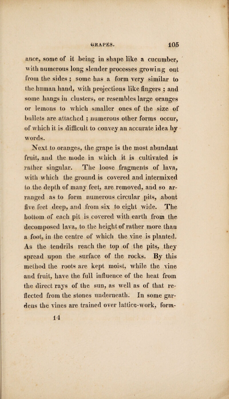 anoe, some of it being in shape like a cucumber, with numerous long slender processes growing out from the sides ; some has a form very similar to the human hand, with projections like fingers ; and some hangs in clusters, or resembles large oranges or lemons to which smaller ones of the size of bullets are attached ; numerous other forms occur, of which it is difficult to convey an accurate idea by words. Next to oranges, the grape is the most abundant fruit, and the mode in which it is cultivated is rather singular. The loose fragments of lava, with which the ground is covered and intermixed to the depth of many feet, are removed, and so ar¬ ranged as to form numerous circular pits, about five feet deep, and from six to eight wide. The bottom of each pit is covered with earth from the decomposed lava, to the height of rather more than a foot, in the centre of which the vine is planted. As the tendrils reach the top of the pits, they spread upon the surface of the rocks. By this method the roots are kept moist, while the vine and fruit, have the full influence of the heat from the direct rays of the sun, as well as of that re¬ flected from the stones underneath. In some gar¬ dens the vines are trained over lattice-work, form- 14