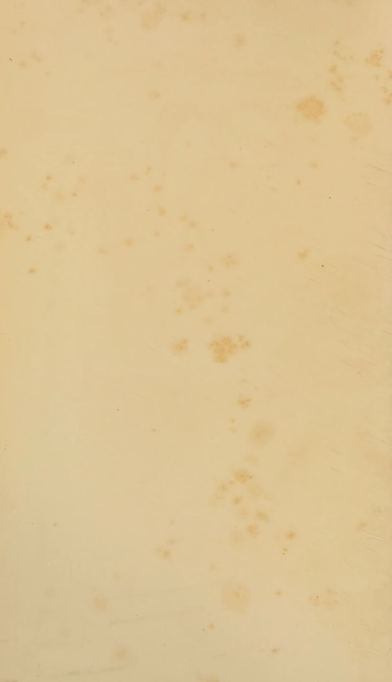 4 • j v. * % * ♦ % f Nl % * V .