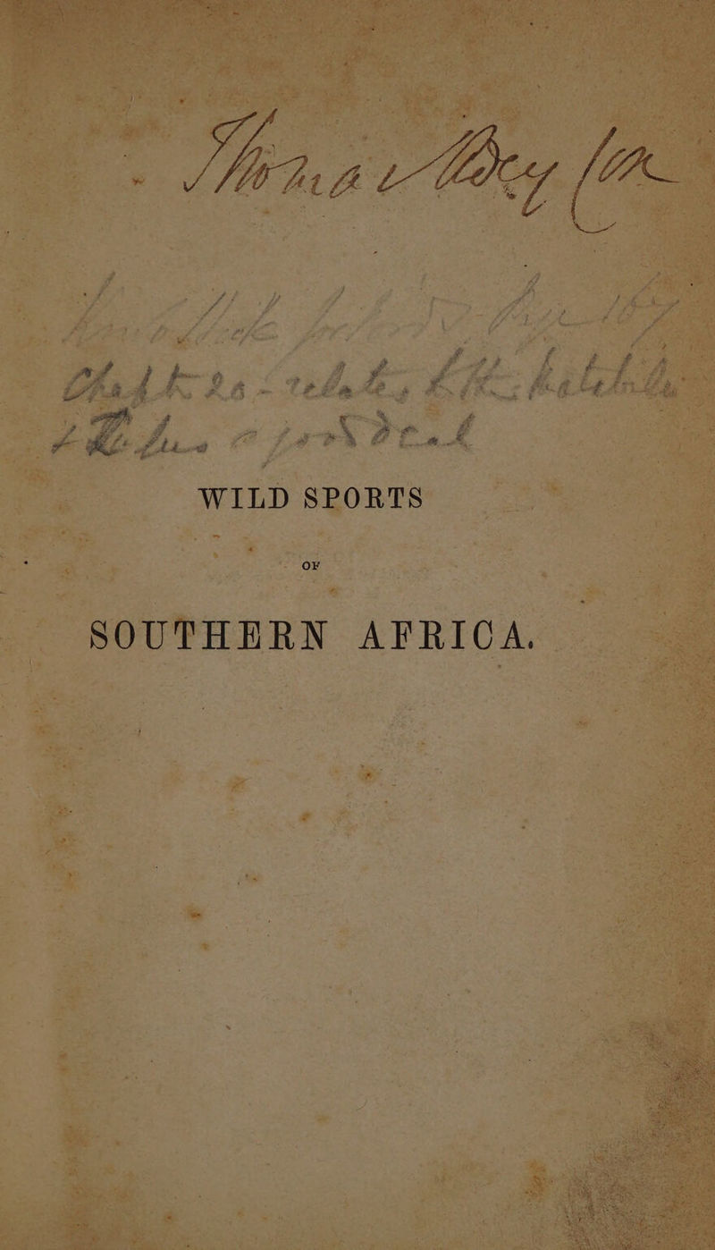 WILD SPORTS OF SOUTHERN AFRICA,