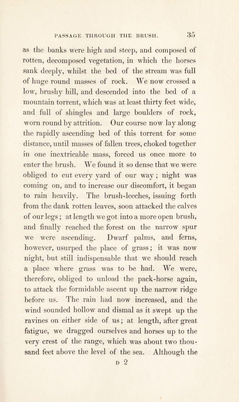 as the banks were high and steep, and composed of rotten, decomposed vegetation, in which the horses sank deeply, whilst the bed of the stream was full of huge round masses of rock. We now crossed a low, brushy hill, and descended into the bed of a mountain torrent, which was at least thirty feet wide, and full of shingles and large boulders of rock, worn round by attrition. Our course now lay along the rapidly ascending bed of this torrent for some distance, until masses of fallen trees, choked together in one inextricable mass, forced us once more to enter the brush. We found it so dense that we were obliged to cut every yard of our way ; night was coming on, and to increase our discomfort, it began to rain heavily. The brush-leeches, issuing forth from the dank rotten leaves, soon attacked the calves of our legs; at length we got into a more open brush, and finally reached the forest on the narrow spur we were ascending. Dwarf palms, and ferns, however, usurped the place of grass; it was now night, but still indispensable that we should reach a place where grass was to be had. We were, therefore, obliged to unload the pack-horse again, to attack the formidable ascent up the narrow ridge before us. The rain had now increased, and the wind sounded hollow and dismal as it swept up the ravines on either side of us; at length, after great fatigue, we dragged ourselves and horses up to the very crest of the range, which was about two thou- sand feet above the level of the sea. Although the d 2