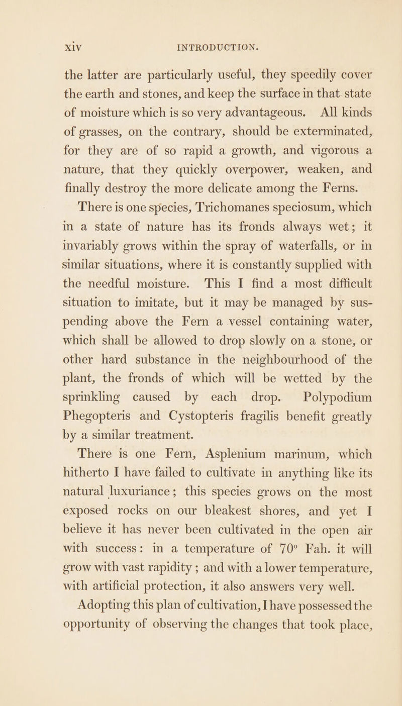 the latter are particularly useful, they speedily cover the earth and stones, and keep the surface in that. state of moisture which is so very advantageous. All kinds of grasses, on the contrary, should be exterminated, for they are of so rapid a growth, and vigorous a nature, that they quickly overpower, weaken, and finally destroy the more delicate among the Ferns. There is one species, Trichomanes speciosum, which im a state of nature has its fronds always wet; it invariably grows within the spray of waterfalls, or in similar situations, where it is constantly supplied with the needful moisture. This I find a most difficult situation to imitate, but it may be managed by sus- pending above the Fern a vessel containing water, which shall be allowed to drop slowly on a stone, or other hard substance in the neighbourhood of the plant, the fronds of which will be wetted by the sprinkling caused by each drop. Polypodium Phegopteris and Cystopteris fragilis benefit greatly by a similar treatment. There is one Fern, Asplenium marinum, which hitherto I have failed to cultivate in anything like its natural luxuriance; this species grows on the most exposed rocks on our bleakest shores, and yet I believe it has never been cultivated in the open air with success: in a temperature of 70° Fah. it will grow with vast rapidity ; and with a lower temperature, with artificial protection, it also answers very well. Adopting this plan of cultivation, I have possessed the opportunity of observing the changes that took place,