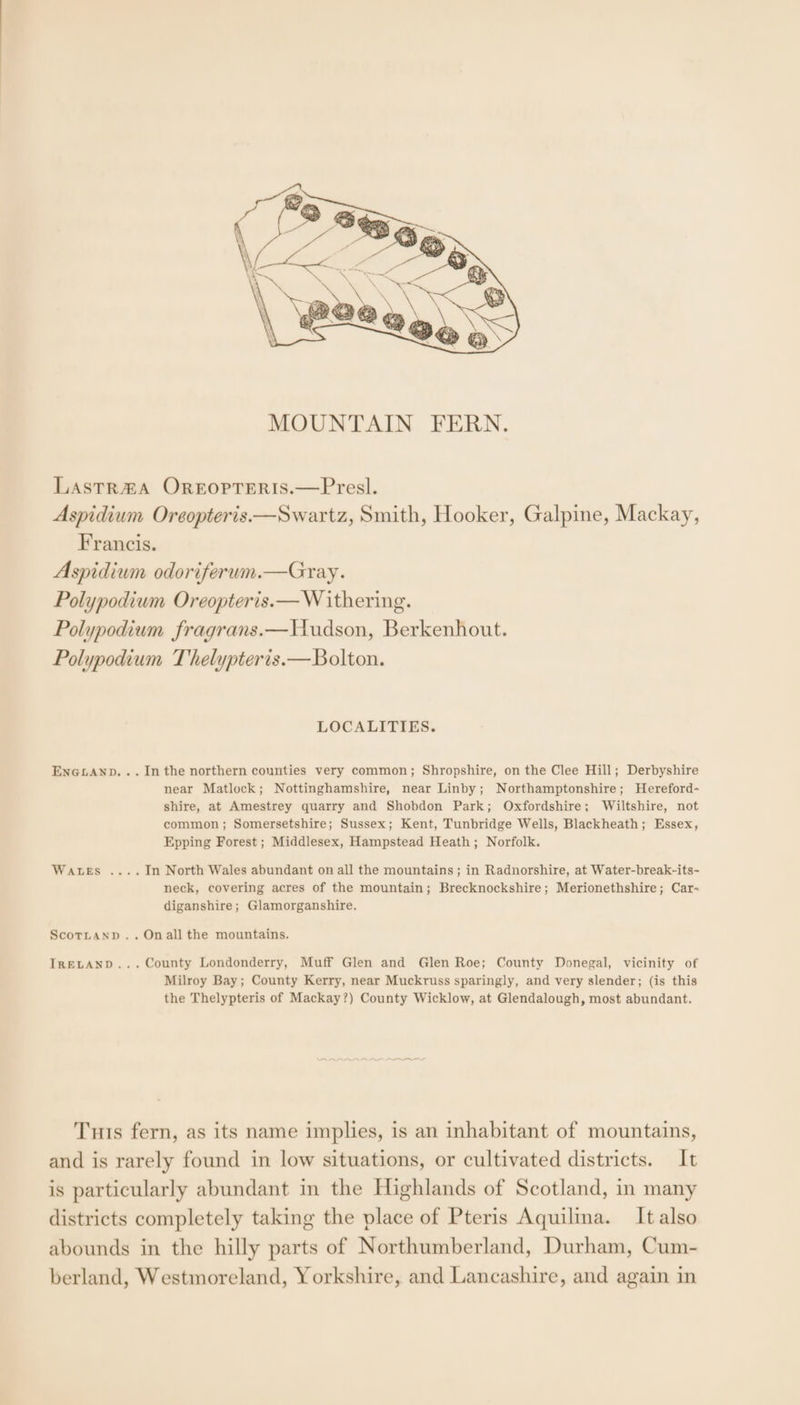 LastR®A OREOPTERIS.—Presl. Aspidium Oreopteris.—Swartz, Smith, Hooker, Galpine, Mackay, Francis. Aspidium odoriferum.—Gray. Polypodium Oreopteris.— W ithering. Polypodium fragrans.—Wudson, Berkenhout. Polypodium Thelypteris.—Bolton. LOCALITIES. ENGLAND... Inthe northern counties very common; Shropshire, on the Clee Hill; Derbyshire near Matlock; Nottinghamshire, near Linby; Northamptonshire; Hereford- shire, at Amestrey quarry and Shobdon Park; Oxfordshire; Wiltshire, not common ; Somersetshire; Sussex; Kent, Tunbridge Wells, Blackheath; Essex, Epping Forest ; Middlesex, Hampstead Heath; Norfolk. Wates ....In North Wales abundant on all the mountains; in Radnorshire, at Water-break-its- neck, covering acres of the mountain; Brecknockshire; Merionethshire; Car- diganshire; Glamorganshire. ScoTLaNnp..Onall the mountains. IRELAND... County Londonderry, Muff Glen and Glen Roe; County Donegal, vicinity of Milroy Bay; County Kerry, near Muckruss sparingly, and very slender; (is this the Thelypteris of Mackay?) County Wicklow, at Glendalough, most abundant. Tuts fern, as its name implies, is an inhabitant of mountains, and is rarely found in low situations, or cultivated districts. It is particularly abundant in the Highlands of Scotland, in many districts completely taking the place of Pteris Aquilina. It also abounds in the hilly parts of Northumberland, Durham, Cum- berland, Westmoreland, Yorkshire, and Lancashire, and again in