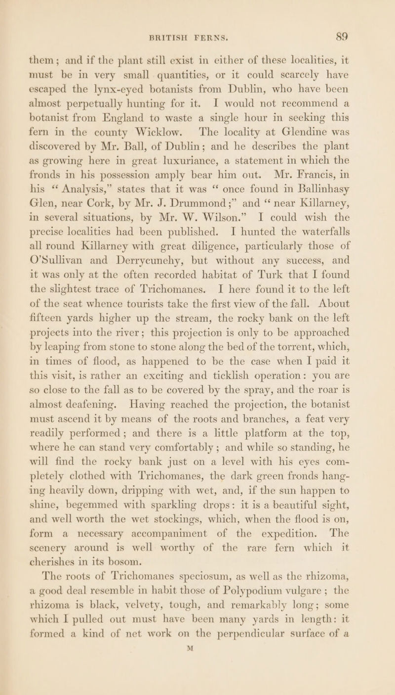 them; and if the plant still exist in either of these localities, it must be in very small quantities, or it could scarcely have escaped the lynx-eyed botanists from Dublin, who have been almost perpetually hunting for it. I would not recommend a botanist from England to waste a single hour in seeking this fern in the county Wicklow. ‘The locality at Glendine was discovered by Mr. Ball, of Dublin; and he describes the plant as growing here in great luxuriance, a statement in which the fronds in his possession amply bear him out. Mr. Francis, in his ‘ Analysis,” states that it was “ once found in Ballinhasy Glen, near Cork, by Mr. J. Drummond ;” and “ near Killarney, in several situations, by Mr. W. Wilson.” I could wish the precise localities had been published. I hunted the waterfalls all round Killarney with great diligence, particularly those of O'Sullivan and Derryecunehy, but without any success, and it was only at the often recorded habitat of Turk that I found the slightest trace of Trichomanes. I here found it to the left of the seat whence tourists take the first view of the fall. About fifteen yards higher up the stream, the rocky bank on the left projects into the river; this projection is only to be approached by leaping from stone to stone along the bed of the torrent, which, in times of flood, as happened to be the case when I paid it this visit, is rather an exciting and ticklish operation: you are so close to the fall as to be covered by the spray, and the roar is almost deafening. Having reached the projection, the botanist must ascend it by means of the roots and branches, a feat very readily performed; and there is a little platform at the top, where he can stand very comfortably ; and while so standing, he will find the rocky bank just on a level with his eyes com- pletely clothed with Trichomanes, the dark green fronds hang- ing heavily down, dripping with wet, and, if the sun happen to shine, begemmed with sparkling drops: it is a beautiful sight, and well worth the wet stockings, which, when the flood is on, form a necessary accompaniment of the expedition. The scenery around is well worthy of the rare fern which it cherishes in its bosom. The roots of Trichomanes speciosum, as well as the rhizoma, a good deal resemble in habit those of Polypodium vulgare ; the rhizoma is black, velvety, tough, and remarkably long; some which I pulled out must have been many yards in length: it formed a kind of net work on the perpendicular surface of a M