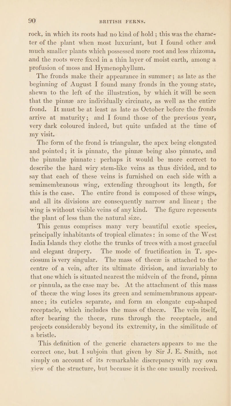 rock, in which its roots had no kind of hold ; this was the charac- ter of the plant when most luxuriant, but I found other and much smaller plants which possessed more root and less rhizoma, and the roots were fixed in a thin layer of moist earth, among a profusion of moss and Hymenophyllum. The fronds make their appearance in summer; as late as the beginning of August I found many fronds in the young state, shewn to the left of the illustration, by which it will be seen that the pinnze are individually circinate, as well as the entire frond. It must be at least as late as October before the fronds arrive at maturity; and I found those of the previous year, very dark coloured indeed, but quite unfaded at the time of my visit. The form of the frond is triangular, the apex being elongated and pointed; it is pinnate, the pinnz being also pinnate, and the pinnule pinnate: perhaps it would be more correct to describe the hard wiry stem-like veins as thus divided, and to say that each of these veins is furnished on each side with a semimembranous wing, extending throughout its length, for this is the case. ‘The entire frond is composed of these wings, and all its divisions are consequently narrow and linear; the wing is without visible veins of any kind. The figure represents the plant of less than the natural size. This genus comprises many very beautiful exotic species, principally inhabitants of tropical climates: in some of the West India Islands they clothe the trunks of trees with a most graceful and elegant drapery. The mode of fructification in T. spe- cilosum is very singular. The mass of thece is attached to the centre of a vein, after its ultimate division, and invariably to that one which is situated nearest the midvein of the frond, pinna or pinnula, as the case may be. At the attachment of this mass of thecze the wing loses its green and semimembranous appear- ance; its cuticles separate, and form an elongate cup-shaped receptacle, which includes the mass of thecee. The vein itself, after bearing the thecs, runs through the receptacle, and projects considerably beyond its extremity, in the similitude of a bristle. This definition of the generic characters appears to me the correct one, but I subjoin that given by Sir J. Ei. Smith, not simply on account of its remarkable discrepancy with my own view of the structure, but because it is the one usually received.