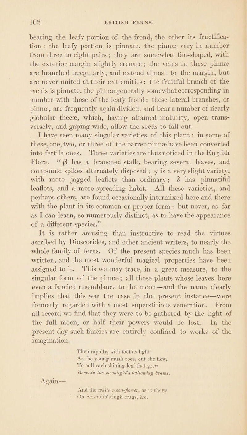 bearing the leafy portion of the frond, the other its fructifica- tion: the leafy portion is pinnate, the pinnz vary in number from three to eight pairs; they are somewhat fan-shaped, with the exterior margin slightly crenate; the veins in these pinnz are branched irregularly, and extend almost to the margin, but are never united at their extremities: the fruitful branch of the rachis 1s pinnate, the pinne generally somewhat corresponding in number with those of the leafy frond: these lateral branches, or pinne, are frequently again divided, and bear a number of nearly elobular thecee, which, having attained maturity, open trans- versely, and gaping wide, allow the seeds to fall out. I have seen many singular varieties of this plant: in some of these, one, two, or three of the barren pinne have been converted into fertile ones. Three varieties are thus noticed in the English Flora. “8 has a branched stalk, bearing several leaves, and compound spikes alternately disposed ; y is a very slight variety, with more jagged leaflets than ordinary; 6 has pinnatifid leaflets, and a more spreading habit. All these varieties, and perhaps others, are found occasionally intermixed here and there with the plant in its common or proper form: but never, as far as I can learn, so numerously distinct, as to have the appearance of a different species.” It is rather amusing than instructive to read the virtues ascribed by Dioscorides, and other ancient writers, to nearly the whole family of ferns. Of the present species much has been written, and the most wonderful magical properties have been assigned to it. ‘This we may trace, in a great measure, to the singular form of the pinne; all those plants whose leaves bore even a fancied resemblance to the moon—and the name clearly implies that this was the case in the present instance—were formerly regarded with a most superstitious veneration. From all record we find that they were to be gathered by the light of the full moon, or half their powers would be lost. In the present day such fancies are entirely confined to works of the imagination. Then rapidly, with foot as light As the young musk roes, out she flew, To cull each shining leaf that grew Beneath the moonlight’s hallowing beams. Again— And the white moon-flower, as it shows On Serendib’s high crags, &amp;c.
