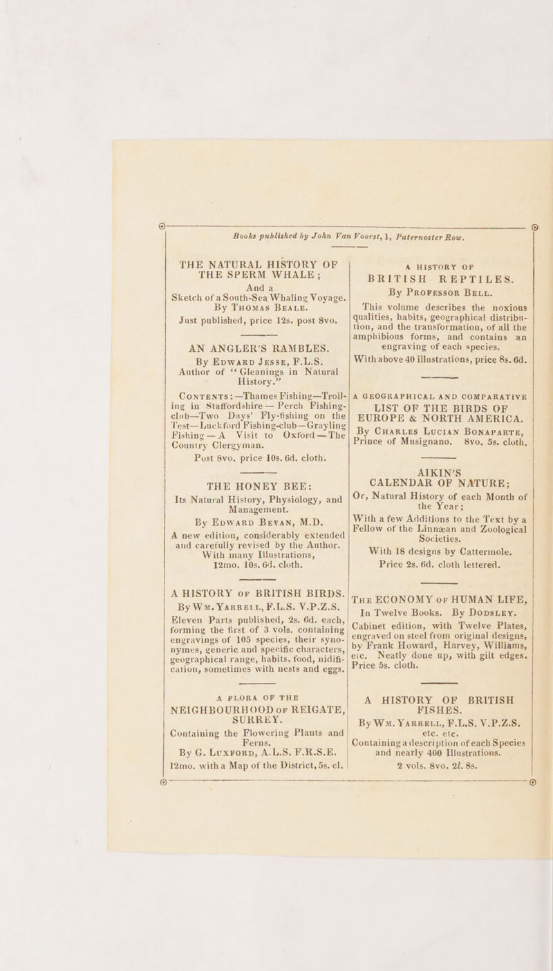 © THE NATURAL HISTORY OF THE SPERM WHALE; And a Sketch of aSouth-Sea Whaling Voyage. By Tuomas BEALE. Just published, price 12s. post 8vo. AN ANGLER’S RAMBLES. By Epwarp Jessz, F.L.S. Author of ‘‘ Gleanings in Natural History.” CONTENTS:—Thames Fishing—Trol]- ing in Staffordshire— Perch Fishing- club—Two Days’ Fly-fishing on the Test— Luck ford Fishing-club— Grayling Fishing — A Visit to Oxford—The Country Clergyman. Post 8vo. price 10s. 6d. cloth. THE HONEY BEE: Its Natural History, Physiology, and Management. A new edition, considerably extended and carefully revised by the Author. With many Illustrations, 12mo. 10s. 64. cloth. By Wo. YARRELL, F.L.S. V.P.Z.S. forming the first of 3 vols. containing nymes, generic and specific characters, geographical range, habits, food, nidifi- cation, sometimes with nests and eggs. A FLORA OF THE NEIGHBOURHOOD or REIGATE, SURREY. Containing the Flowering Plants and Ferns. By G. Luxrorp, A.L.S. F.R.S.E. — A HISTORY OF BRITISH. REPTILES. By Proressor BEtu. This volume describes the noxious qualities, habits, geographical distribu- tion, and the transformation, of all the amphibious forms, and contains an engraving of each species. With above 40 illustrations, price 8s. 6d. A GEOGRAPHICAL AND COMPARATIVE LIST OF THE BIRDS OF EUROPE &amp; NORTH AMERICA. By CuHarves Lucian BONAPARTE, Prince of Musignano. 8vo. 5s. cloth. ATKIN’S CALENDAR OF NATURE; Or, Natural History of each Month of the Year; With a few Additions to the Text by a Fellow of the Linnean and Zoological Societies. With 18 designs by Cattermole. Price 2s. 6d. cloth lettered. THE ECONOMY or HUMAN LIFE, In Twelve Books. By Dops ey. Cabinet edition, with Twelve Plates, engraved on steel from original designs, by Frank Howard, Harvey, Williams, eic. Neatly done up, with gilt edges. Price 5s. cloth. FISHES. By Wo. YaRRELL, F.L.S. V.P.Z.S. etc. ete. Containing a description of each Species and nearly 400 Illustrations. 2 vols. 8vo. 21. 8s.