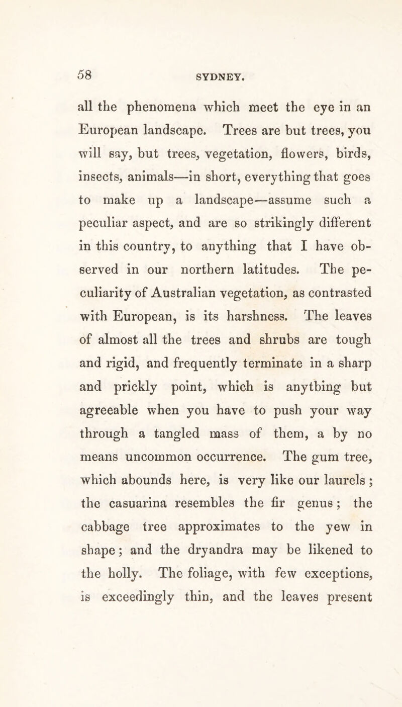 all the phenomena which meet the eye in an European landscape. Trees are but trees, you will say, but trees, vegetation, flowers, birds, insects, animals—in short, everything that goes to make up a landscape—assume such a peculiar aspect, and are so strikingly different in this country, to anything that I have ob¬ served in our northern latitudes. The pe¬ culiarity of Australian vegetation, as contrasted with European, is its harshness. The leaves of almost all the trees and shrubs are tough and rigid, and frequently terminate in a sharp and prickly point, which is anything but agreeable when you have to push your way through a tangled mass of them, a by no means uncommon occurrence. The gum tree, which abounds here, is very like our laurels ; the casuarina resembles the flr genus; the cabbage tree approximates to the yew in shape; and the dryandra may be likened to the holly. The foliage, with few exceptions, is exceedingly thin, and the leaves present