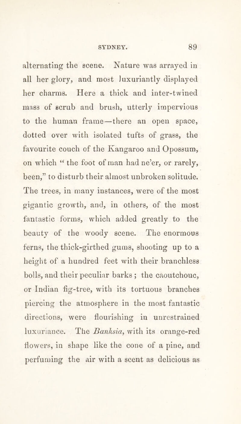 aiternatlng the scene. Nature was arrayed in all her glory, and noost luxuriantly displayed her charms. Here a thick and inter-twined mass of scrub and brush, utterly impervious to the human frame—there an open space, dotted over with isolated tufts of grass, the favourite couch of the Kangaroo and Opossum, on which the foot of man had ne’er, or rarely, been,” to disturb their almost unbroken solitude. The trees, in many instances, were of the most gigantic growth, and, in others, of the most fantastic forms, which added greatly to the beauty of the woody scene. The enormous ferns, the thick-girthed gums, shooting up to a height of a hundred feet with their branchless bolls, and their peculiar barks ; the ca-outchouc, or Indian fig-tree, with its tortuous branches piercing the atmosphere in the most fantastic directions, were flourishing in unrestrained luxuriance. The Banksia, with its orange-red flowers, in shape like the cone of a pine, and perfuming the air with a scent as delicious as