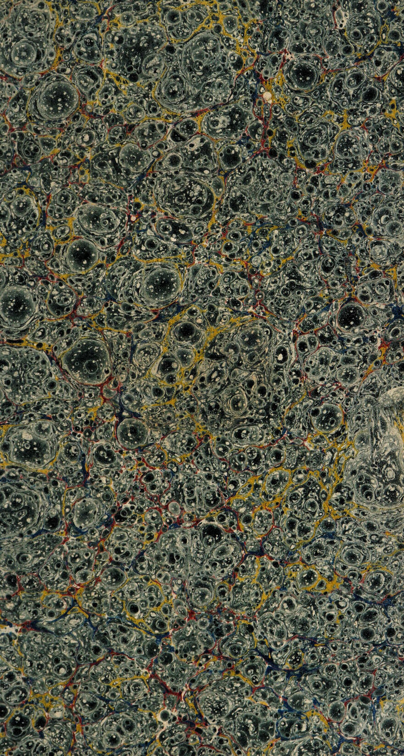 waSs/s pfi p* v&i 'Mi mm Wti & sjt Wm JVi,