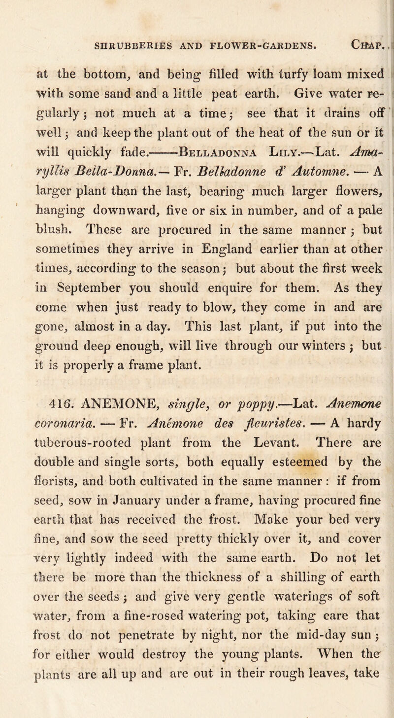 at the bottom, and being filled with turfy loam mixed with some sand and a little peat earth. Give water re- gularly ; not much at a time ; see that it drains off well 3 and keep the plant out of the heat of the sun or it will quickly fade. -Belladonna Lily.—Lat. Ama- ryllis Bella-Donna.— Fr. Belkidonne d' Automne. — A larger plant than the last, bearing much larger flowers, hanging downward, five or six in number, and of a pale blush. These are procured in the same manner 5 but sometimes they arrive in England earlier than at other times, according to the season; but about the first week in September you should enquire for them. As they come when just ready to blow, they come in and are gone, almost in a day. This last plant, if put into the ground deep enough, will live through our winters ; but it is properly a frame plant. 416. ANEMONE, single, or poppy.—Lat. Anemone coronaria. — Fr. Anemone des fleuristes. — A hardy tuberous-rooted plant from the Levant. There are double and single sorts, both equally esteemed by the florists, and both cultivated in the same manner : if from seed, sow in January under a frame, having procured fine earth that has received the frost. Make your bed very fine, and sow the seed pretty thickly over it, and cover very lightly indeed with the same earth. Do not let there be more than the thickness of a shilling of earth over the seeds ; and give very gentle waterings of soft water, from a fine-rosed watering pot, taking care that frost do not penetrate by night, nor the mid-day sun ; for either would destroy the young plants. When the' plants are all up and are out in their rough leaves, take