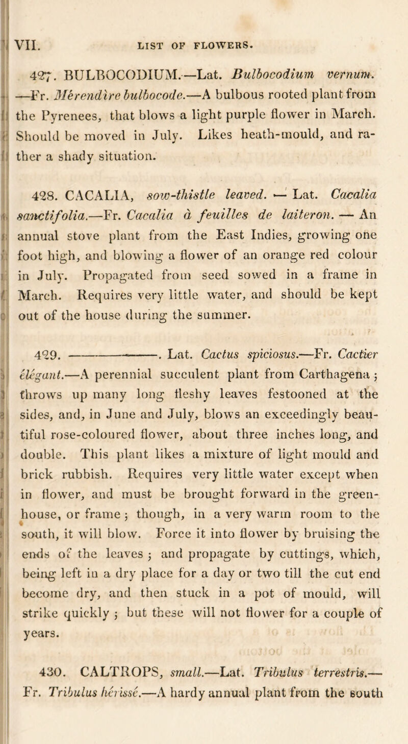 427. BULBOCODIUM.—Lat. Bulbocodium vernum. —Fr. Merendire bulbocode.—A bulbous rooted plant from the Pyrenees, that blows a light purple flower in March. Should be moved in July. Likes heath-mould, and ra- ther a shady situation. 428. CACALIA, sow-thistle leaved. — Lat. Cacalia sanctifolia.—Fr. Cacalia d feuilles de laiteron. — An annual stove plant from the East Indies, growing one foot high, and blowing a flower of an orange red colour in July. Propagated from seed sowed in a frame in March. Requires very little water, and should be kept out of the house during the summer. 429. . Lat. Cactus spiciosus.—Fr. Cactier elegant.—A perennial succulent plant from Carthagena ; throws up many long fleshy leaves festooned at the sides, and, in June and July, blows an exceedingly beau- tiful rose-coloured flower, about three inches long, and double. This plant likes a mixture of light mould and brick rubbish. Requires very little water except when in flower, and must be brought forward in the green- house, or frame ; though, in a very warm room to the south, it will blow. Force it into flower by bruising the ends of the leaves ; and propagate by cuttings, which, being left in a dry place for a day or two till the cut end become dry, and then stuck in a pot of mould, will strike quickly ; but these will not flower for a couple of years. 430. CALTROPS, small.—Lat. Tributus terrestris.— Fr. Tribulus lierisse.—A hardy annual plant from the south