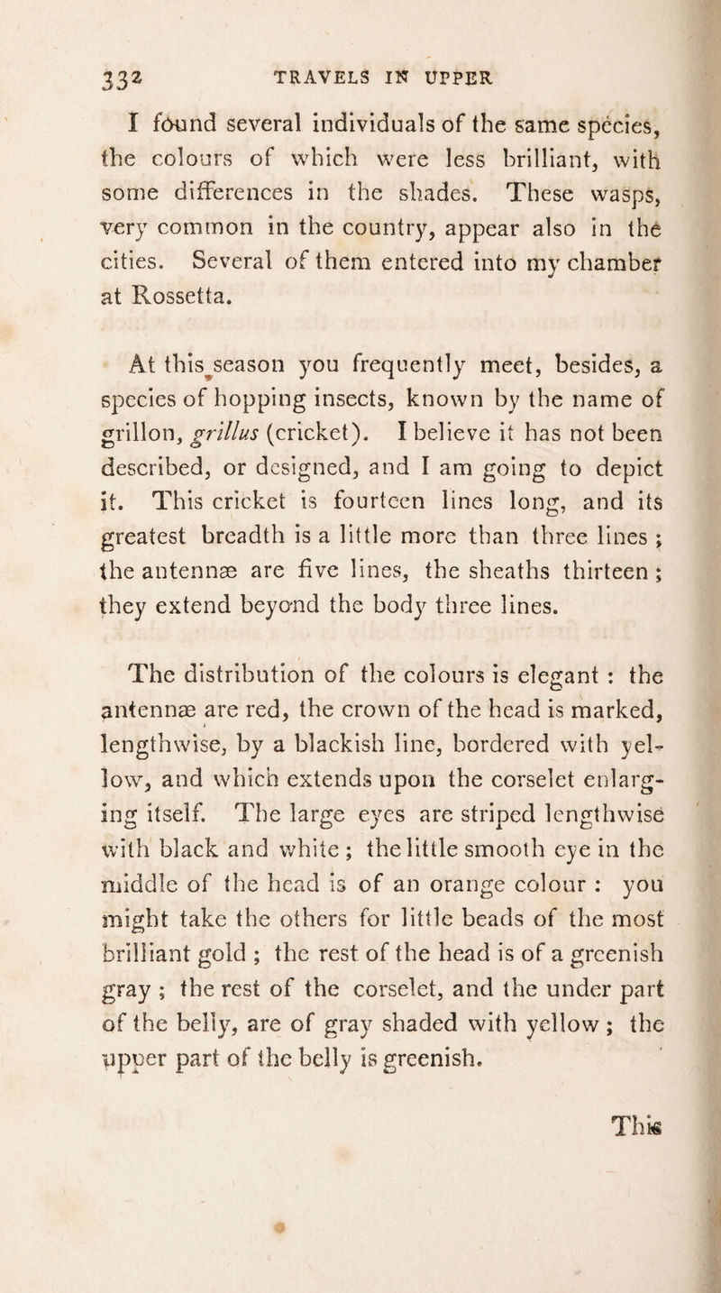 I found several individuals of the same species, the colours of which were less brilliant, with some differences in the shades. These wasps, very common in the country, appear also in the cities. Several of them entered into my chamber at Rossetta. At this season you frequently meet, besides, a species of hopping insects, known by the name of grillon, grillus (cricket). I believe it has not been described, or designed, and I am going to depict if. This cricket is fourteen lines long, and its greatest breadth is a little more than three lines ; the antennae are five lines, the sheaths thirteen ; they extend beyond the body three lines. The distribution of the colours is elegant : the antennae are red, the crown of the head is marked, lengthwise, by a blackish line, bordered with yel¬ low, and which extends upon the corselet enlarg¬ ing itself. The large eyes are striped lengthwise with black and white ; the little smooth eye in the middle of the head is of an orange colour : you might take the others for little beads of the most brilliant gold ; the rest of the head is of a greenish gray ; the rest of the corselet, and the under part of the belly, are of gray shaded with yellow ; the upper part of the belly is greenish.