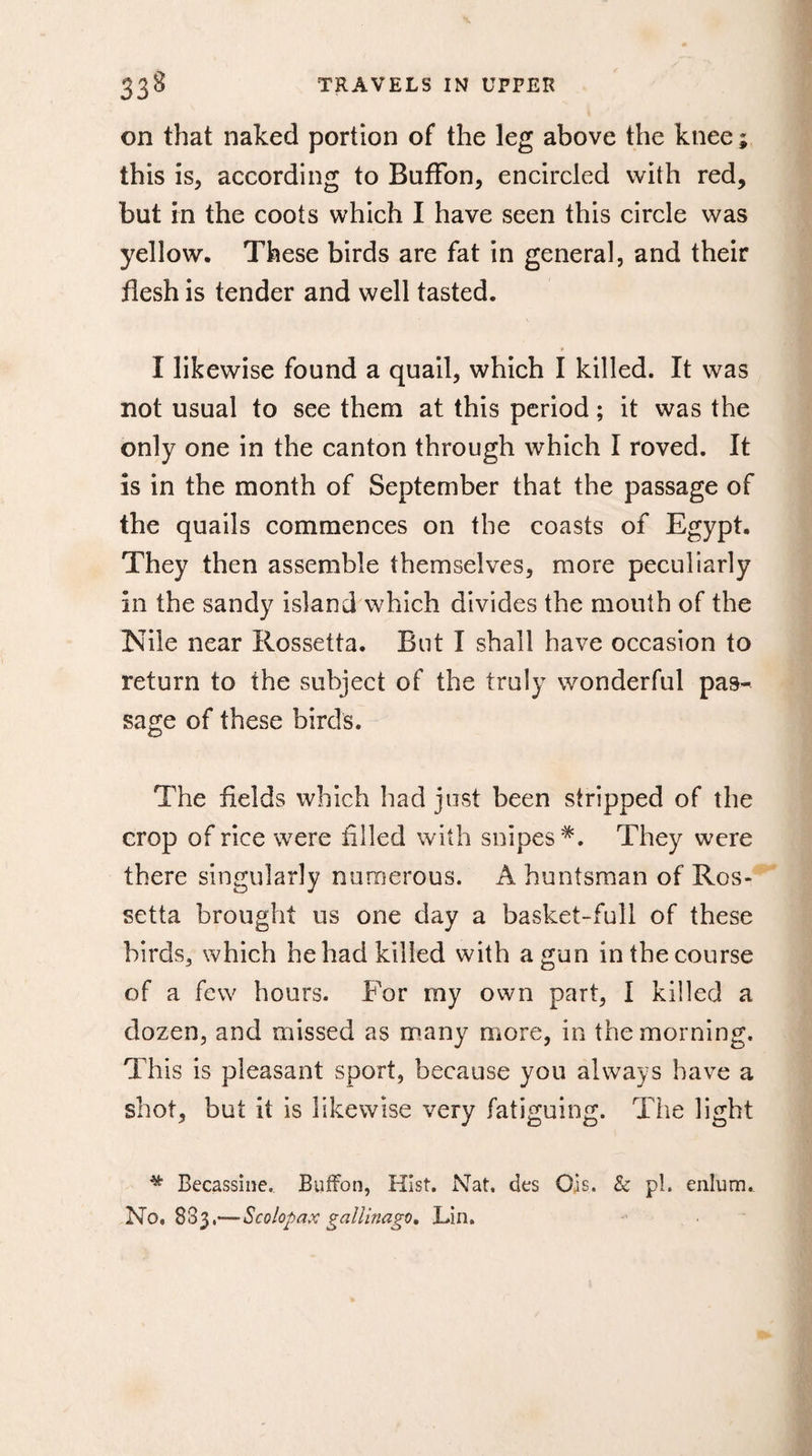 on that naked portion of the leg above the knee ; this is, according to BufFon, encircled with red, but in the coots which I have seen this circle was yellow. These birds are fat in general, and their flesh is tender and well tasted. I likewise found a quail, which I killed. It was not usual to see them at this period ; it was the only one in the canton through which I roved. It is in the month of September that the passage of the quails commences on the coasts of Egypt. They then assemble themselves, more peculiarly in the sandy island which divides the mouth of the Nile near Rossetta. But I shall have occasion to return to the subject of the truly wonderful pas¬ sage of these birds. © The fields which had just been stripped of the crop of rice were filled with snipes*. They were there singularly numerous. A huntsman of Ros¬ setta brought us one day a basket-full of these birds, which he had killed with a gun in the course of a few hours. For my own part, I killed a dozen, and missed as many more, in the morning. This is pleasant sport, because you always have a shot, but it is likewise very fatiguing. The light * Bécassine. Buffon, Hist. Nat, des Ois. &amp; pi. enlum. No. 883.—Scolopax gatlinago. Lin.