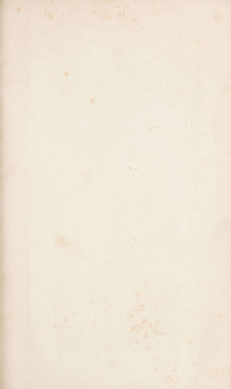 r t I I i. ; i i, •