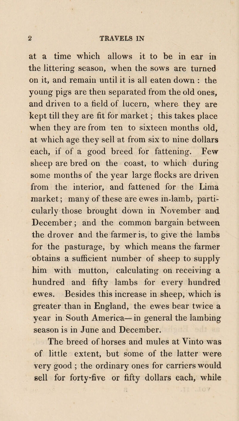 at a time which allows it to be in ear in the littering season, when the sows are turned on it, and remain until it is all eaten down : the young pigs are then separated from the old ones, and driven to a held of lucern, where they are kept till they are fit for market; this takes place when they are from ten to sixteen months old, at which age they sell at from six to nine dollars each, if of a good breed for fattening. Few sheep are bred on the coast, to which during some months of the year large flocks are driven from the interior, and fattened for the Lima market; many of these are ewes in-lamb, parti¬ cularly those brought down in November and December; and the common bargain between the drover and the farmer is, to give the lambs for the pasturage, by which means the farmer obtains a sufficient number of sheep to supply him with mutton, calculating on receiving a hundred and fifty lambs for every hundred ewes. Besides this increase in sheep, which is greater than in England, the ewes bear twice a year in South America— in general the lambing season is in June and December. The breed of horses and mules at Vinto was of little extent, but some of the latter were very good ; the ordinary ones for carriers would sell for forty-five or fifty dollars each, while