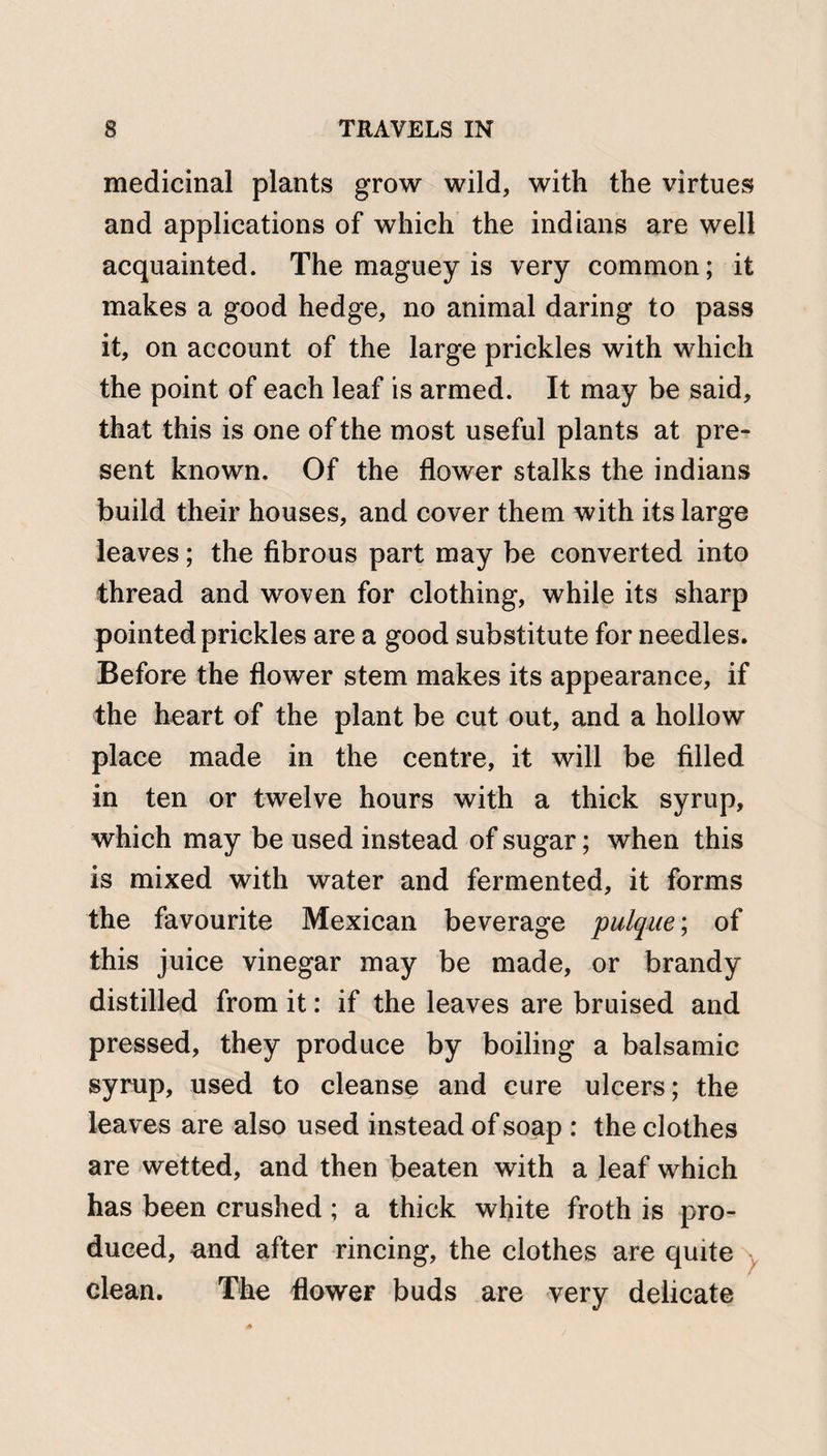 medicinal plants grow wild, with the virtues and applications of which the indians are well acquainted. The maguey is very common; it makes a good hedge, no animal daring to pass it, on account of the large prickles with which the point of each leaf is armed. It may be said, that this is one of the most useful plants at pre¬ sent known. Of the flower stalks the indians build their houses, and cover them with its large leaves; the fibrous part may be converted into thread and woven for clothing, while its sharp pointed prickles are a good substitute for needles. Before the flower stem makes its appearance, if the heart of the plant be cut out, and a hollow place made in the centre, it will be filled in ten or twelve hours with a thick syrup, which may be used instead of sugar; when this is mixed with water and fermented, it forms the favourite Mexican beverage pulque; of this juice vinegar may be made, or brandy distilled from it: if the leaves are bruised and pressed, they produce by boiling a balsamic syrup, used to cleanse and cure ulcers; the leaves are also used instead of soap : the clothes are wetted, and then beaten with a leaf which has been crushed; a thick white froth is pro¬ duced, and after rincing, the clothes are quite clean. The flower buds are very delicate