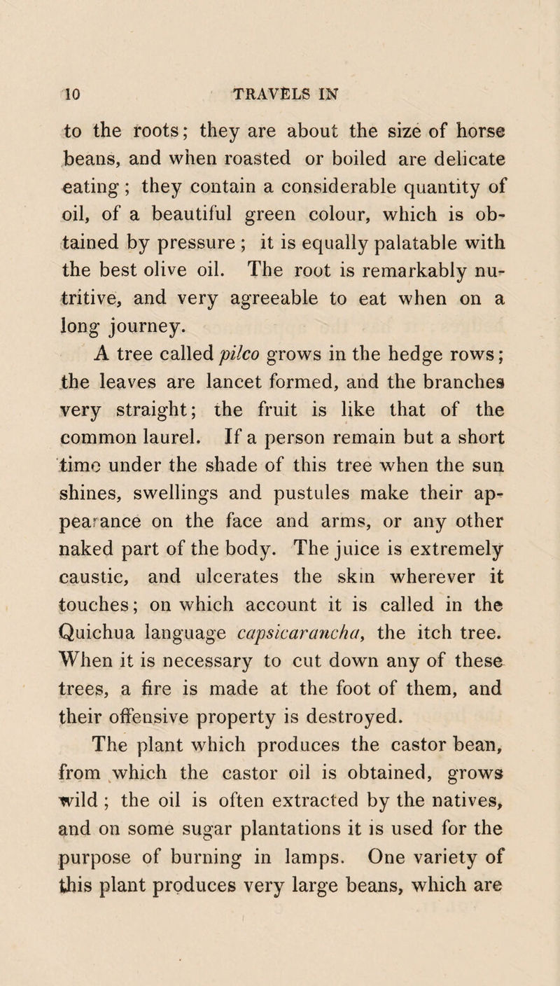 to the roots; they are about the size of horse beans, and when roasted or boiled are delicate eating; they contain a considerable quantity of oil, of a beautiful green colour, which is ob¬ tained by pressure ; it is equally palatable with the best olive oil. The root is remarkably nu¬ tritive, and very agreeable to eat when on a long journey. A tree calledpilco grows in the hedge rows; the leaves are lancet formed, and the branches very straight; the fruit is like that of the common laurel. If a person remain but a short time under the shade of this tree when the sun shines, swellings and pustules make their ap¬ pearance on the face and arms, or any other naked part of the body. The juice is extremely caustic, and ulcerates the skm wherever it touches; on which account it is called in the Quichua language capsicarancha, the itch tree. When it is necessary to cut down any of these trees, a fire is made at the foot of them, and their offensive property is destroyed. The plant which produces the castor bean, from which the castor oil is obtained, grows wild ; the oil is often extracted by the natives, and on some sugar plantations it is used for the purpose of burning in lamps. One variety of this plant produces very large beans, which are