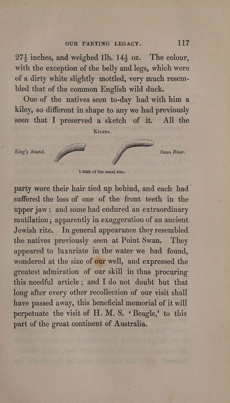 274 inches, and weighed 1lb. 144 0z. ‘The colour, with the exception of the belly and legs, which were of a dirty white slightly mottled, very much resem- bled that of the common English wild duck. One of the natives seen to-day had with him a kiley, so different in shape to any we had previously seen that I preserved a sketch of it. All the KIeys, King’s Sound. Swan River. 1-24th of the usual size, party wore their hair tied up behind, and each had suffered the loss of one of the front teeth in the upper jaw: and some had endured an extraordinary mutilation; apparently in exaggeration of an ancient Jewish rite. In general appearance they resembled the natives previously seen at Point Swan. ‘They appeared to luxuriate in the water we had found, wondered at the size of our well, and expressed the greatest admiration of our skill in thus procuring this needful article; and I do not doubt but that long after every other recollection of our visit shall have passed away, this beneficial memorial of it will perpetuate the visit of H. M.S. ‘Beagle,’ to this part of the great continent of Australia.