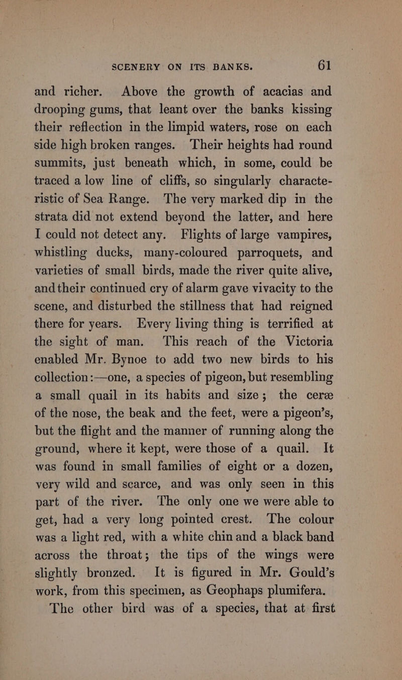 and richer. Above the growth of acacias and drooping gums, that leant over the banks kissing their reflection in the limpid waters, rose on each side high broken ranges. Their heights had round summits, just beneath which, in some, could be traced a low line of cliffs, so singularly characte- ristic of Sea Range. The very marked dip in the strata did not extend beyond the latter, and here I could not detect any. Flights of large vampires, whistling ducks, many-coloured parroquets, and varieties of small birds, made the river quite alive, and their continued cry of alarm gave vivacity to the scene, and disturbed the stillness that had reigned there for years. Every living thing is terrified at the sight of man. This reach of the Victoria enabled Mr. Bynoe to add two new birds to his collection :—one, a species of pigeon, but resembling a small quail in its habits and size; the cere of the nose, the beak and the feet, were a pigeon’s, but the flight and the manner of running along the ground, where it kept, were those of a quail. It was found in small families of eight or a dozen, very wild and scarce, and was only seen in this part of the river. ‘The only one we were able to get, had a very long pointed crest. ‘The colour was a light red, with a white chin and a black band across the throat; the tips of the wings were slightly bronzed. It is figured in Mr. Gould’s work, from this specimen, as Geophaps plumifera. The other bird was of a species, that at. first