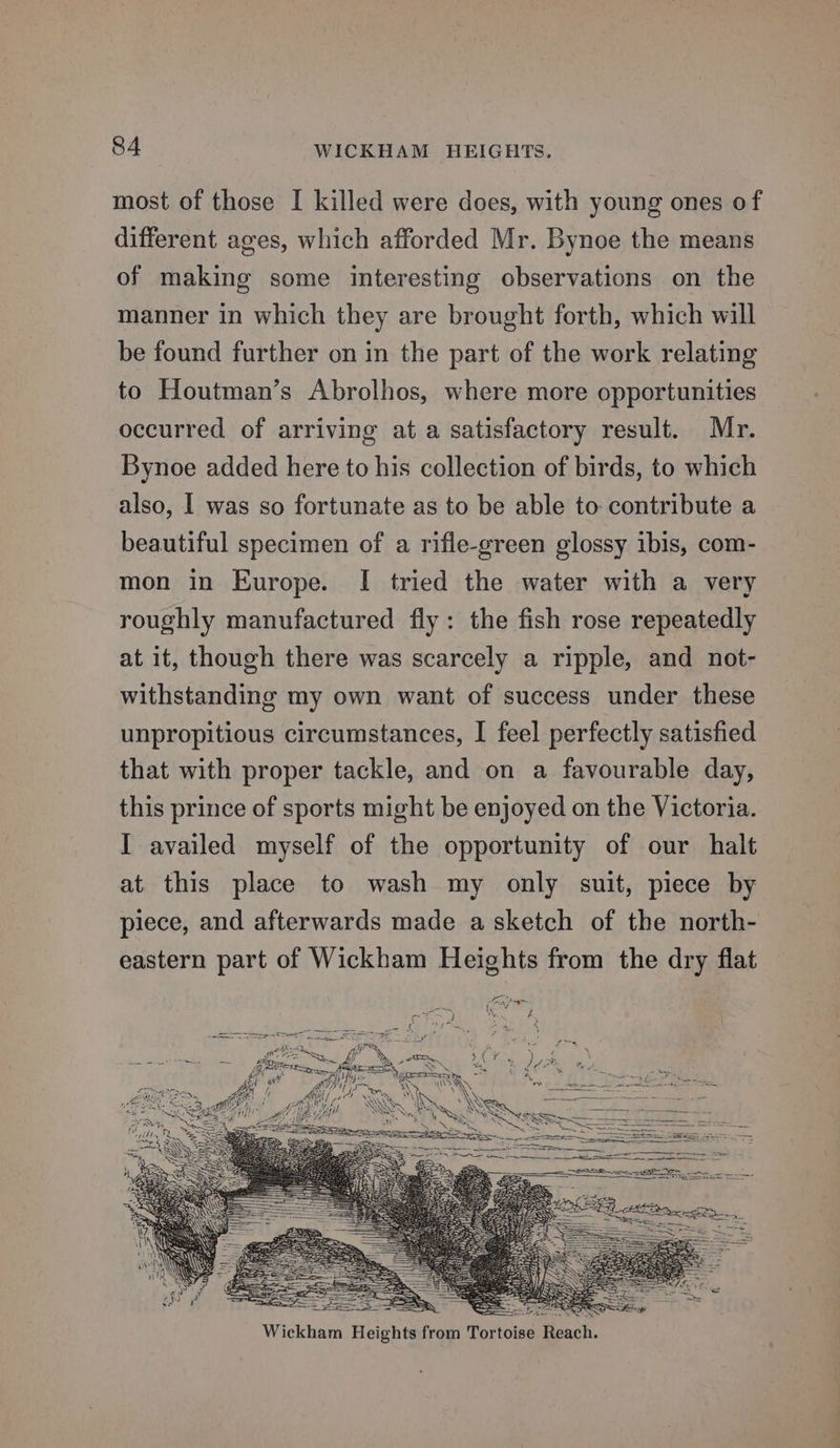 most of those I killed were does, with young ones of different ages, which afforded Mr. Bynoe the means of making some interesting observations on the manner in which they are brought forth, which will be found further on in the part of the work relating to Houtman’s Abrolhos, where more opportunities occurred of arriving at a satisfactory result. Mr. Bynoe added here to his collection of birds, to which also, | was so fortunate as to be able to contribute a beautiful specimen of a rifle-green glossy ibis, com- mon in Europe. I tried the water with a very roughly manufactured fly: the fish rose repeatedly at it, though there was scarcely a ripple, and not- withstanding my own want of success under these unpropitious circumstances, I feel perfectly satisfied that with proper tackle, and on a favourable day, this prince of sports might be enjoyed on the Victoria. I availed myself of the opportunity of our halt at this place to wash my only suit, piece by piece, and afterwards made a sketch of the north- eastern part of Wickham Heights from the dry flat Pam 7A SS Wickham Heights from Tortoise Reach.