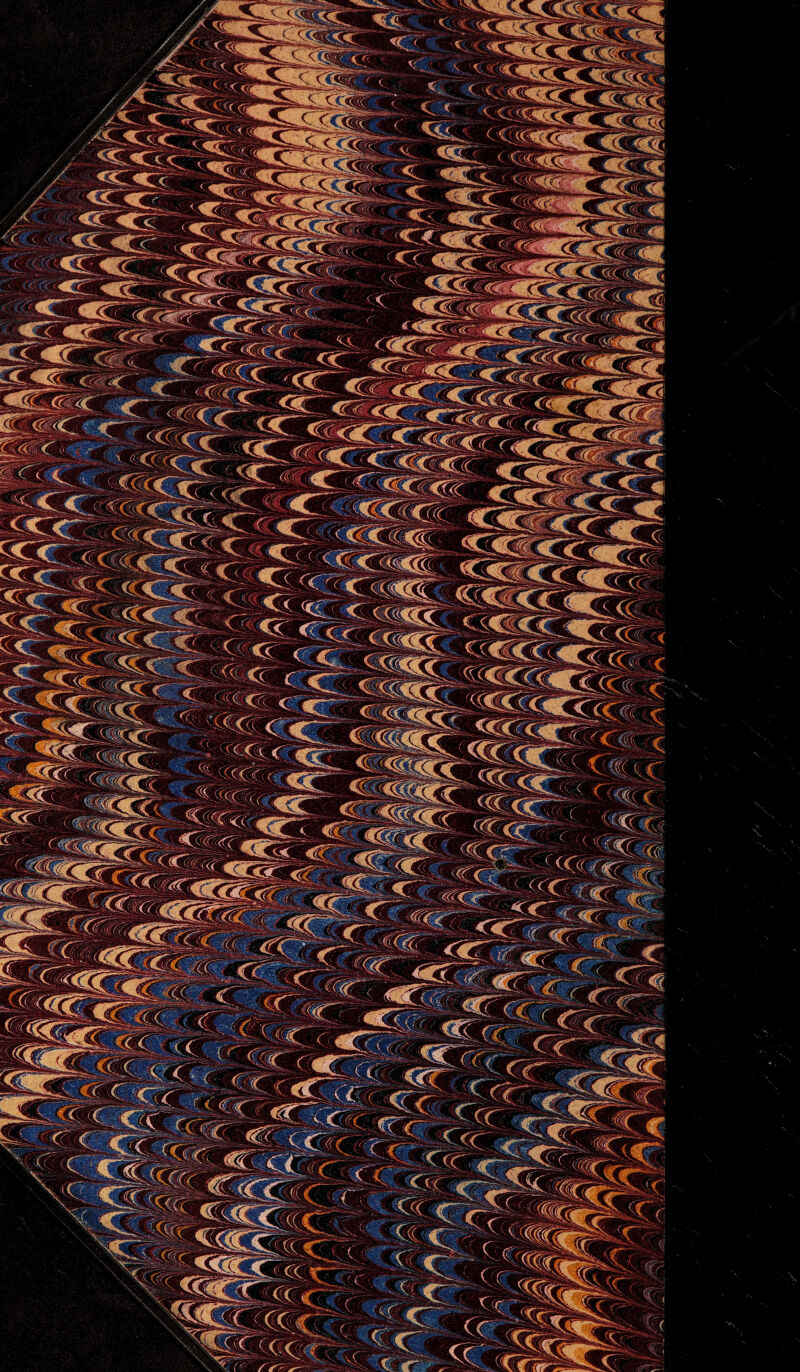 ggjgj E&Zicy B sjg£ ^yp: fi fi 31231