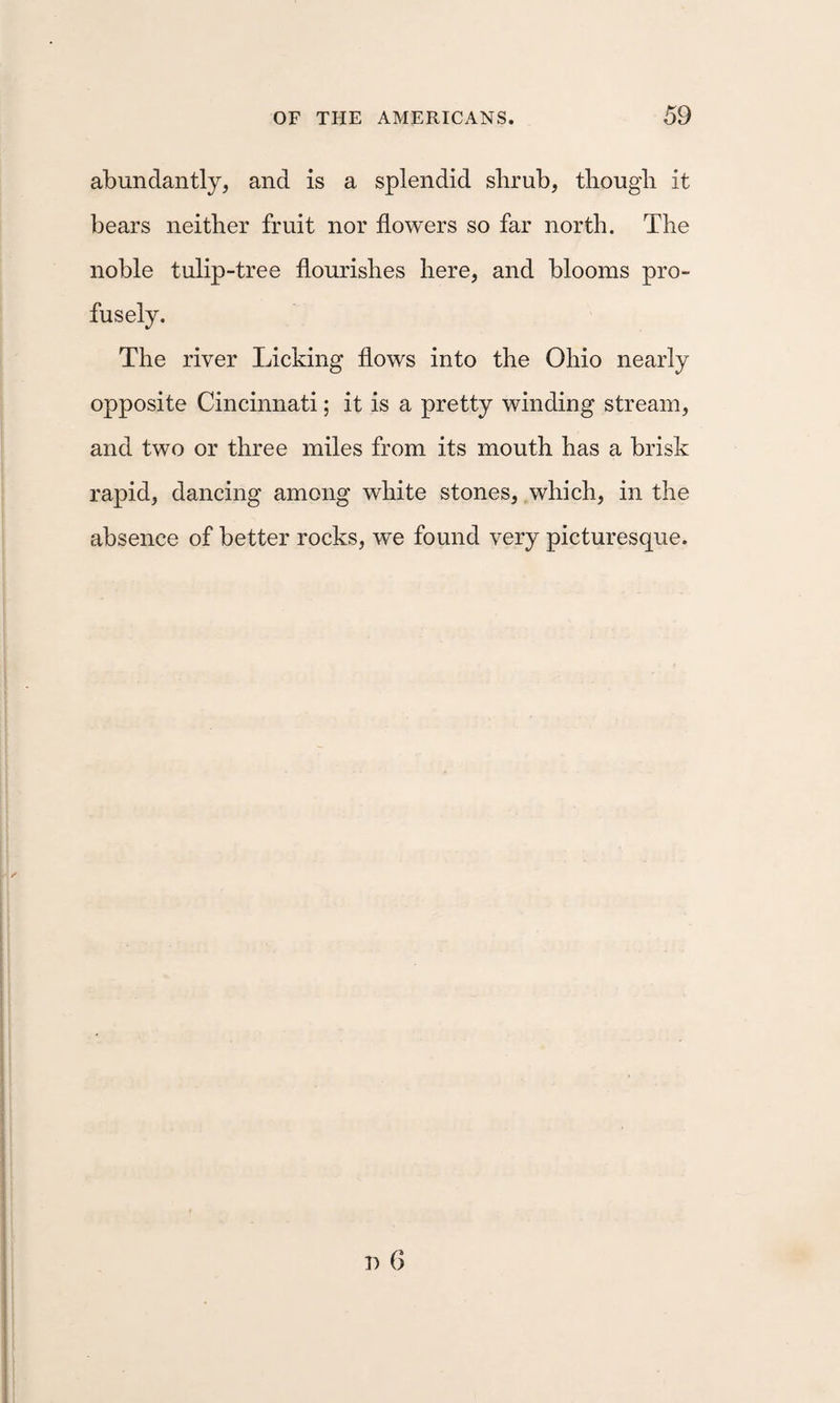 abundantly, and is a splendid shrub, though it bears neither fruit nor flowers so far north. The noble tulip-tree flourishes here, and blooms pro¬ fusely. The river Licking flows into the Ohio nearly opposite Cincinnati; it is a pretty winding stream, and two or three miles from its mouth has a brisk rapid, dancing among white stones, which, in the absence of better rocks, we found very picturesque.