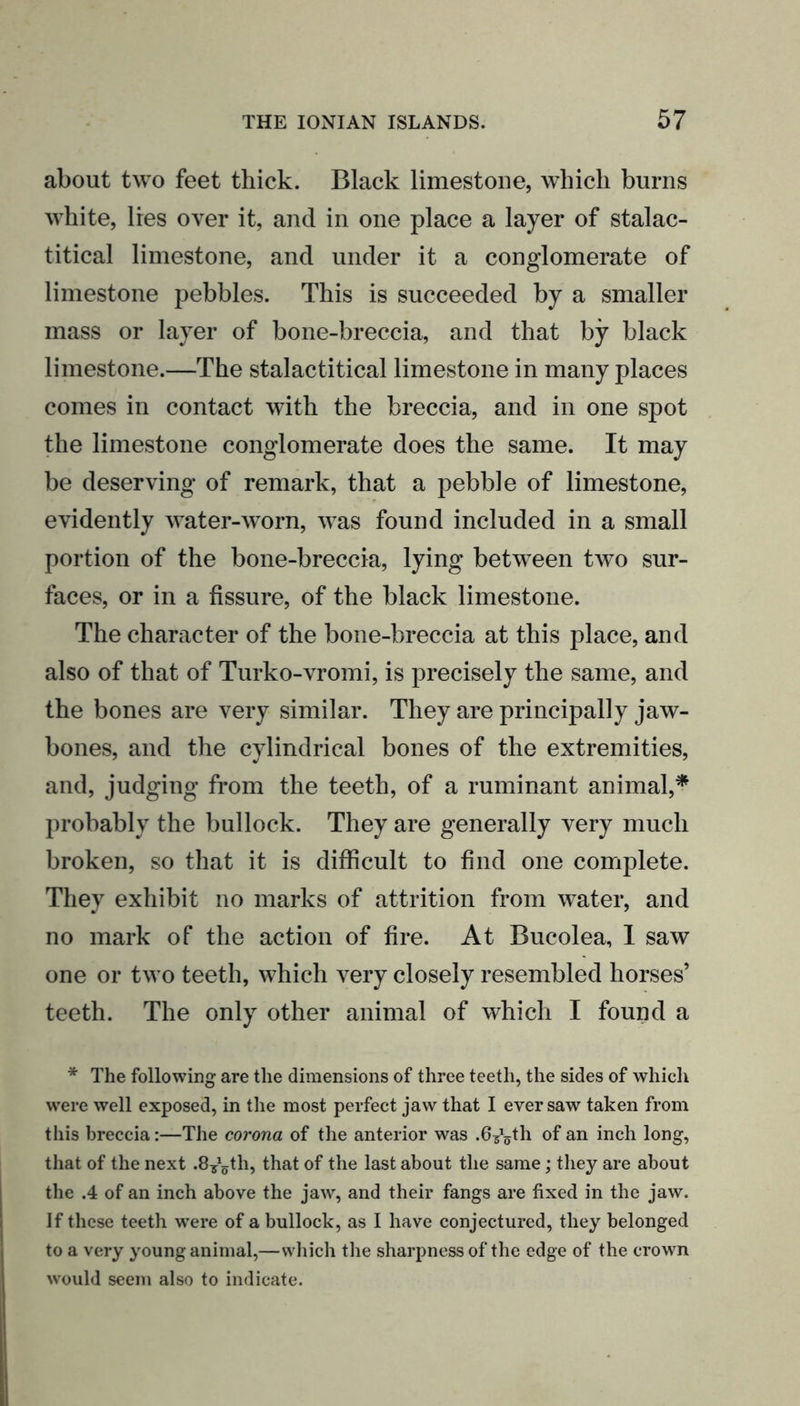 about two feet thick. Black limestone, which burns white, lies over it, and in one place a layer of stalac- titical limestone, and under it a conglomerate of limestone pebbles. This is succeeded by a smaller mass or layer of bone-breccia, and that by black limestone.—The stalactitical limestone in many places comes in contact with the breccia, and in one spot the limestone conglomerate does the same. It may be deserving of remark, that a pebble of limestone, evidently water-worn, was found included in a small portion of the bone-breccia, lying between two sur- faces, or in a fissure, of the black limestone. The character of the bone-breccia at this place, and also of that of Turko-vromi, is precisely the same, and the bones are very similar. They are principally jaw- bones, and the cylindrical bones of the extremities, and, judging from the teeth, of a ruminant animal,* probably the bullock. They are generally very much broken, so that it is difficult to find one complete. They exhibit no marks of attrition from water, and no mark of the action of fire. At Bucolea, 1 saw one or two teeth, which very closely resembled horses’ teeth. The only other animal of which I found a * The following are the dimensions of three teeth, the sides of which were well exposed, in the most perfect jaw that I ever saw taken from this breccia:—The corona of the anterior was .6^th of an inch long, that of the next .8^11, that of the last about the same; they are about the .4 of an inch above the jaw, and their fangs are fixed in the jaw. If these teeth vrere of a bullock, as I have conjectured, they belonged to a very young animal,—which the sharpness of the edge of the crown would seem also to indicate.