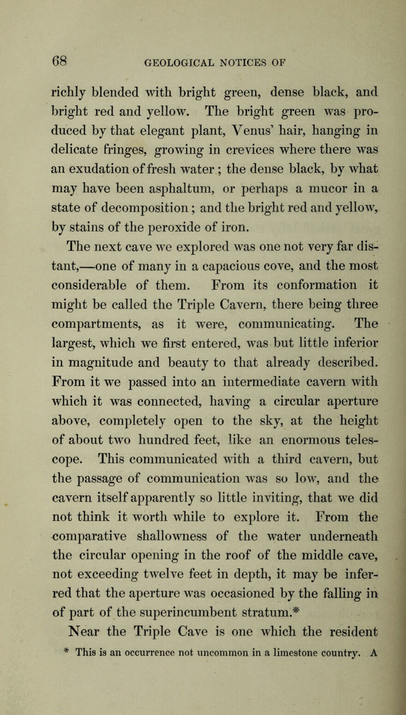 richly blended with bright green, dense black, and bright red and yellow. The bright green was pro- duced by that elegant plant, Venus’ hair, hanging in delicate fringes, growing in crevices where there was an exudation of fresh water ; the dense black, by what may have been asphaltum, or perhaps a mucor in a state of decomposition; and the bright red and yellow, by stains of the peroxide of iron. The next cave we explored was one not very far dis- tant,—one of many in a capacious cove, and the most considerable of them. From its conformation it might be called the Triple Cavern, there being three compartments, as it were, communicating. The largest, which we first entered, was but little inferior in magnitude and beauty to that already described. From it we passed into an intermediate cavern with which it was connected, having a circular aperture above, completely open to the sky, at the height of about two hundred feet, like an enormous teles- cope. This communicated with a third cavern, but the passage of communication was so low, and the cavern itself apparently so little inviting, that we did not think it worth while to explore it. From the comparative shallowness of the water underneath the circular opening in the roof of the middle cave, not exceeding twelve feet in depth, it may be infer- red that the aperture was occasioned by the falling in of part of the superincumbent stratum.* Near the Triple Cave is one which the resident * This is an occurrence not uncommon in a limestone country. A