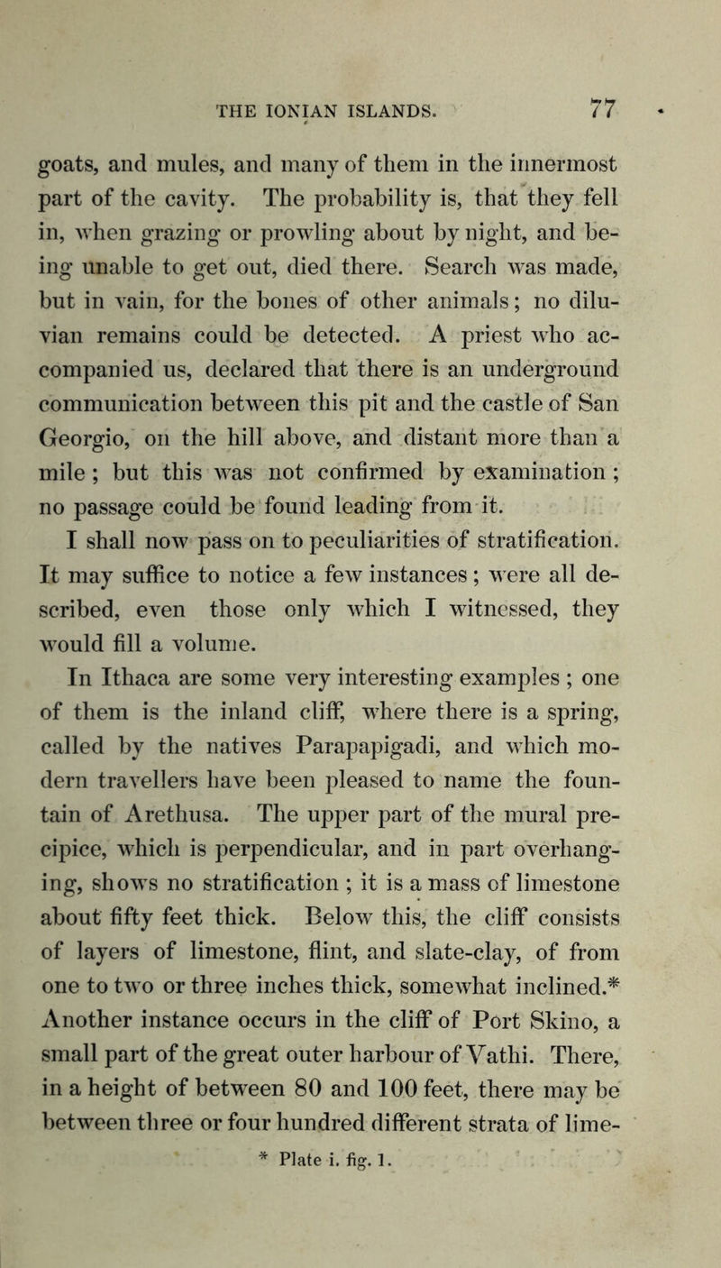 goats, and mules, and many of them in the innermost part of the cavity. The probability is, that they fell in, when grazing or prowling about by night, and be- ing unable to get out, died there. Search was made, but in vain, for the bones of other animals; no dilu- vian remains could be detected. A priest who ac- companied us, declared that there is an underground communication between this pit and the castle of San Georgio, on the hill above, and distant more than a mile ; but this was not confirmed by examination ; no passage could be found leading from it. I shall now pass on to peculiarities of stratification. It may suffice to notice a few instances; were all de- scribed, even those only which I witnessed, they would fill a volume. In Ithaca are some very interesting examples ; one of them is the inland cliff, where there is a spring, called by the natives Parapapigadi, and which mo- dern travellers have been pleased to name the foun- tain of Arethusa. The upper part of the mural pre- cipice, which is perpendicular, and in part overhang- ing, shows no stratification ; it is a mass of limestone about fifty feet thick. Below this, the cliff consists of layers of limestone, flint, and slate-clay, of from one to two or three inches thick, somewhat inclined.* Another instance occurs in the cliff of Port Skino, a small part of the great outer harbour of Vathi. There, in a height of between 80 and 100 feet, there may be between three or four hundred different strata of lime- * Plate i. fig. 1.