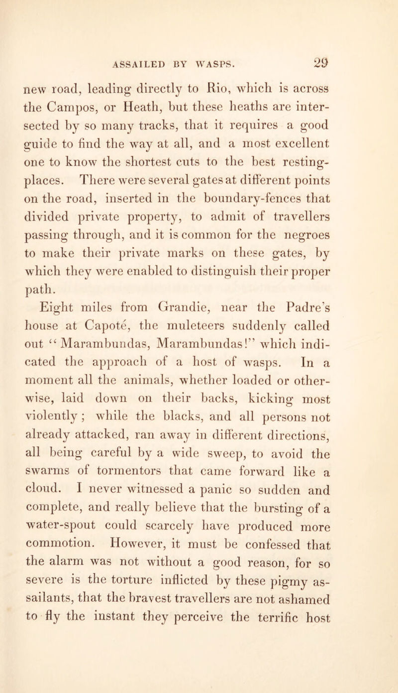 new road, leading directly to Rio, which is across the Campos, or Heath, but these heaths are inter- sected by so many tracks, that it requires a good guide to find the way at all, and a most excellent one to know the shortest cuts to the best resting- places. There were several gates at different points on the road, inserted in the boundary-fences that divided private property, to admit of travellers passing through, and it is common for the negroes to make their private marks on these gates, by which they were enabled to distinguish their proper path. Eight miles from Grandie, near the Padre s house at Capote, the muleteers suddenly called out “ Marambundas, Marambundas!” which indi- cated the approach of a host of wasps. In a moment all the animals, whether loaded or other- wise, laid down on their backs, kicking most violently ; while the blacks, and all persons not already attacked, ran away in different directions, all being careful by a wide sweep, to avoid the swarms of tormentors that came forward like a cloud. I never witnessed a panic so sudden and complete, and really believe that the bursting of a water-spout could scarcely have produced more commotion. However, it must be confessed that the alarm was not without a good reason, for so severe is the torture inflicted by these pigmy as- sailants, that the bravest travellers are not ashamed to fly the instant they perceive the terrific host