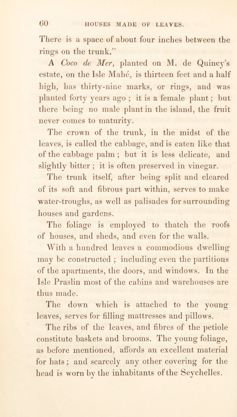 (iO HOUSES MADE OF LEAVES. There is a space of about four inches between the rings on the trunk.” A Coco de Mer, planted on M. de Quincy’s estate, on the Isle Malie, is thirteen feet and a half high, has thirty-nine marks, or rings, and was planted forty years ago ; it is a female plant; but there being no male plant in the island, the fruit never comes to maturity. The crown of the trunk, in the midst of the leaves, is called the cabbage, and is eaten like that of the cabbage palm ; but it is less delicate, and slightly bitter ; it is often preserved in vinegar. The trunk itself, after being split and cleared of its soft and fibrous part within, serves to make water-troughs, as well as palisades for surrounding houses and gardens. The foliage is employed to thatch the roofs of houses, and sheds, and even for the walls. With a hundred leaves a commodious dwelling may be constructed ; including even the partitions of the apartments, the doors, and windows. In the Isle Praslin most of the cabins and warehouses are thus made. The down which is attached to the young leaves, serves for filling mattresses and pillows. The ribs of the leaves, and fibres of the petiole constitute baskets and brooms. The young foliage, as before mentioned, affords an excellent material for hats; and scarcely any other covering for the head is worn by the inhabitants of the Seychelles.