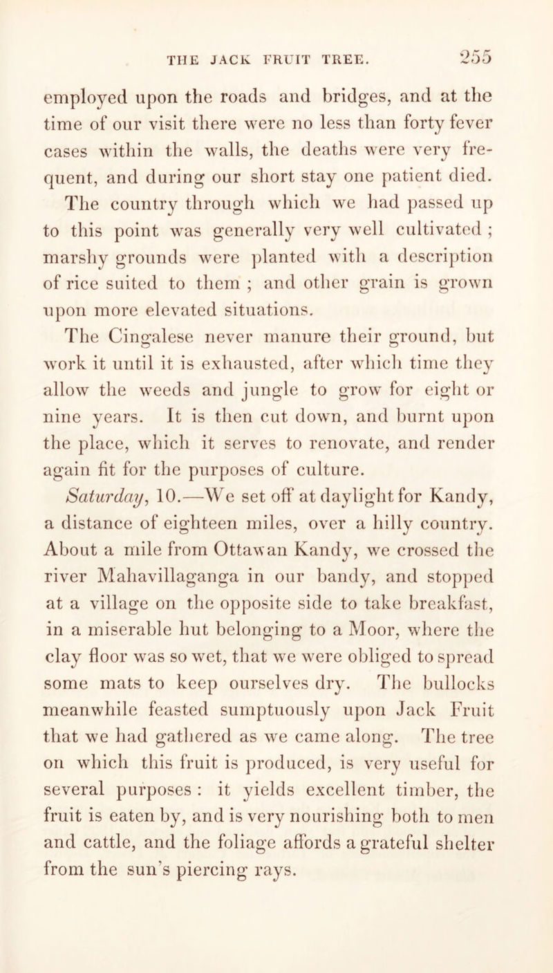 THE JACK FRUIT TREE. employed upon the roads and bridges, and at the time of our visit there were no less than forty fever cases within the walls, the deaths were very fre- quent, and during our short stay one patient died. The country through which we had passed up to this point was generally very well cultivated ; marshy grounds were planted with a description of rice suited to them ; and other grain is grown upon more elevated situations. The Cingalese never manure their ground, but work it until it is exhausted, after which time they allow the weeds and jungle to grow' for eight or nine years. It is then cut down, and burnt upon the place, which it serves to renovate, and render again fit for the purposes of culture. Saturday, 10.—We set off at daylight for Kandy, a distance of eighteen miles, over a hilly country. About a mile from Ottawan Kandy, wre crossed the river Mahavillaganga in our bandy, and stopped at a village on the opposite side to take breakfast, in a miserable hut belonging to a Moor, where the clay floor was so wret, that we were obliged to spread some mats to keep ourselves dry. The bullocks meanwhile feasted sumptuously upon Jack Fruit that we had gathered as we came along. The tree on which this fruit is produced, is very useful for several purposes : it yields excellent timber, the fruit is eaten by, and is very nourishing both to men and cattle, and the foliage affords a grateful shelter from the sun's piercing rays.