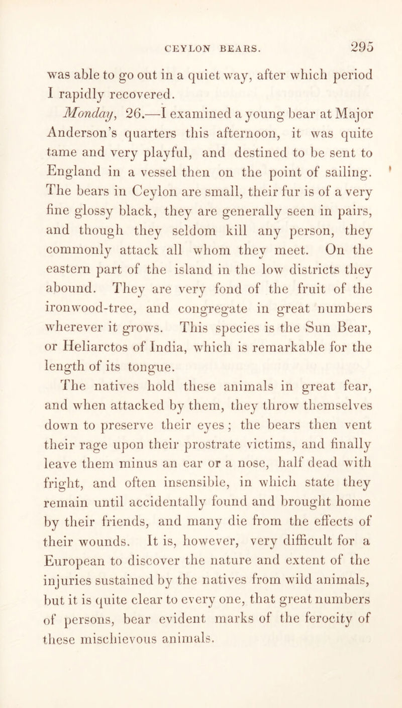 was able to go out in a quiet way, after which period I rapidly recovered. Monday, 26.—I examined a young bear at Major Anderson's quarters this afternoon, it was quite tame and very playful, and destined to be sent to England in a vessel then on the point of sailing. The bears in Ceylon are small, their fur is of a very fine glossy black, they are generally seen in pairs, and though they seldom kill any person, they commonly attack all whom they meet. On the eastern part of the island in the low districts they abound. They are very fond of the fruit of the ironwood-tree, and congregate in great numbers wherever it grows. This species is the Sun Bear, or Heliarctos of India, which is remarkable for the length of its tongue. The natives hold these animals in great fear, and when attacked by them, they throw themselves down to preserve their eyes; the bears then vent their rage upon their prostrate victims, and finally leave them minus an ear or a nose, half dead with fright, and often insensible, in which state they remain until accidentally found and brought home by their friends, and many die from the effects of their wounds. It is, however, very difficult for a European to discover the nature and extent of the injuries sustained by the natives from wild animals, but it is quite clear to every one, that great numbers of persons, bear evident marks of the ferocity of these mischievous animals.