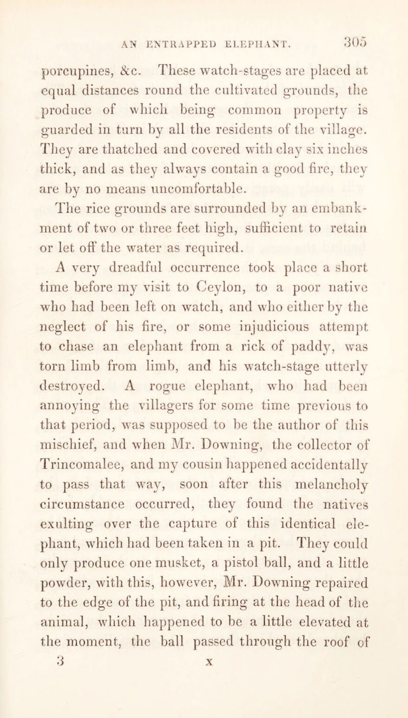 porcupines, &c. These watch-stages are placed at equal distances round the cultivated grounds, the produce of which being common property is guarded in turn by all the residents of the village. They are thatched and covered with clay six inches thick, and as they always contain a good fire, they are by no means uncomfortable. The rice grounds are surrounded by an embank- ment of two or three feet high, sufficient to retain or let off the water as required. A very dreadful occurrence took place a short time before my visit to Ceylon, to a poor native who had been left on watch, and who either by the neglect of his fire, or some injudicious attempt to chase an elephant from a rick of paddy, was torn limb from limb, and his w7atch-stage utterly destroyed. A rogue elephant, who had been annoying the villagers for some time previous to that period, wras supposed to be the author of this mischief, and when Mr. Downing, the collector of Trincomalee, and my cousin happened accidentally to pass that way, soon after this melancholy circumstance occurred, they found the natives exulting over the capture of this identical ele- phant, which had been taken in a pit. They could only produce one musket, a pistol ball, and a little powder, with this, however, Mr. Dowming repaired to the edge of the pit, and firing at the head of the animal, which happened to be a little elevated at the moment, the ball passed through the roof of 3 x