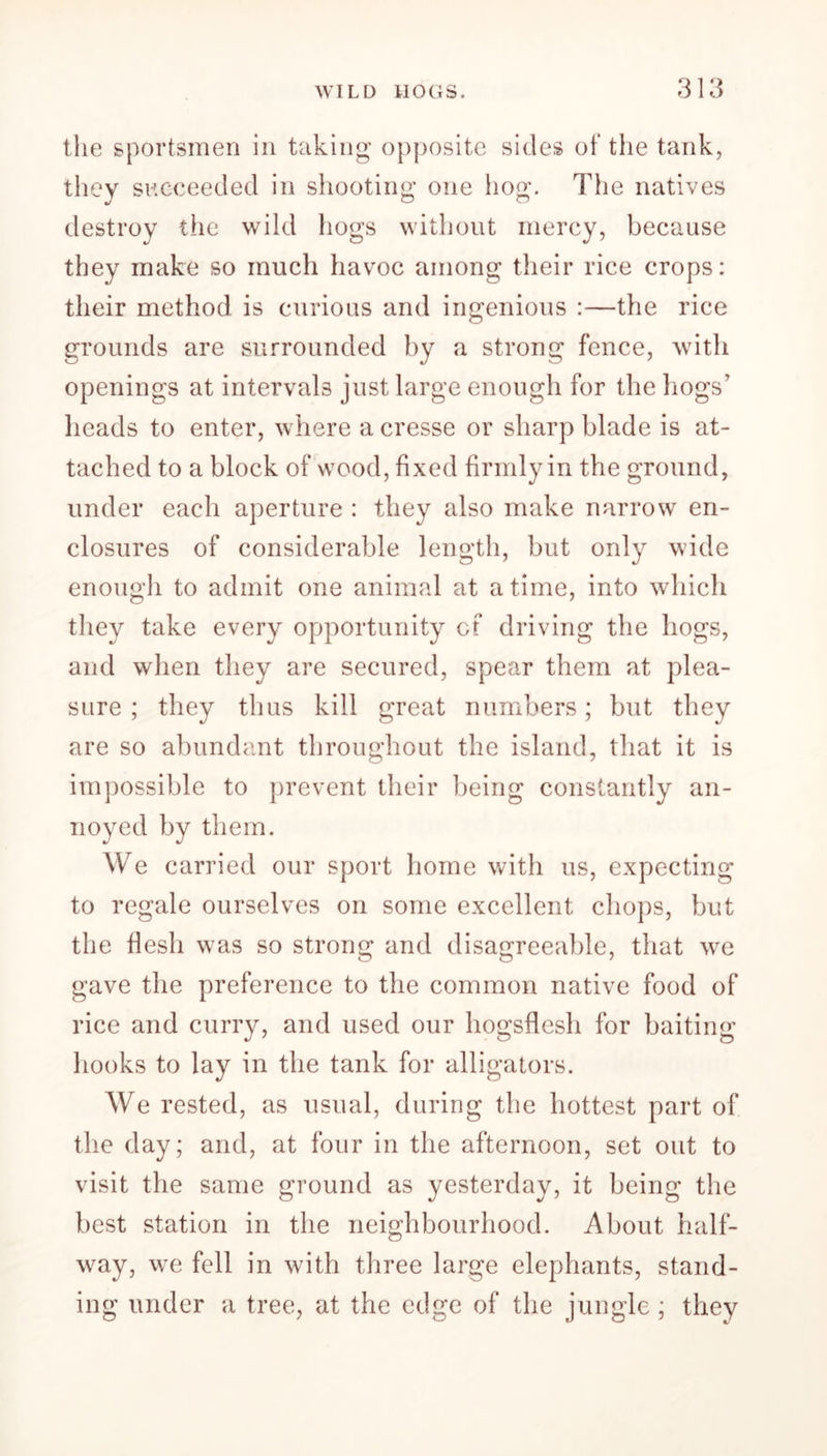 the sportsmen in taking opposite sides of the tank, they succeeded in shooting one hog. The natives destroy the wild hogs without mercy, because they make so much havoc among their rice crops: their method is curious and ingenious :—the rice grounds are surrounded by a strong fence, with openings at intervals just large enough for the hogs’ heads to enter, where a cresse or sharp blade is at- tached to a block of wood, fixed firmly in the ground, under each aperture : they also make narrow en- closures of considerable length, but only wide enough to admit one animal at a time, into which they take every opportunity ct driving the hogs, and when they are secured, spear them at plea- sure ; they thus kill great numbers; but they are so abundant throughout the island, that it is impossible to prevent their being constantly an- noyed by them. We carried our sport home with us, expecting to regale ourselves on some excellent chops, but the flesh was so strong and disagreeable, that we gave the preference to the common native food of rice and curry, and used our hogsflesh for baiting hooks to lay in the tank for alligators. We rested, as usual, during the hottest part of the day; and, at four in the afternoon, set out to visit the same ground as yesterday, it being the best station in the neighbourhood. About half- way, we fell in with three large elephants, stand- ing under a tree, at the edge of the jungle; they