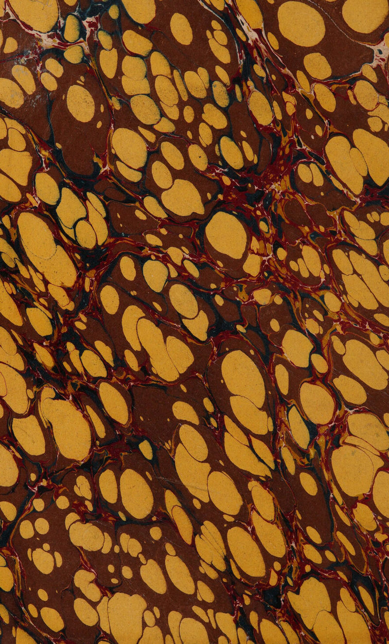 No text description is available for this image