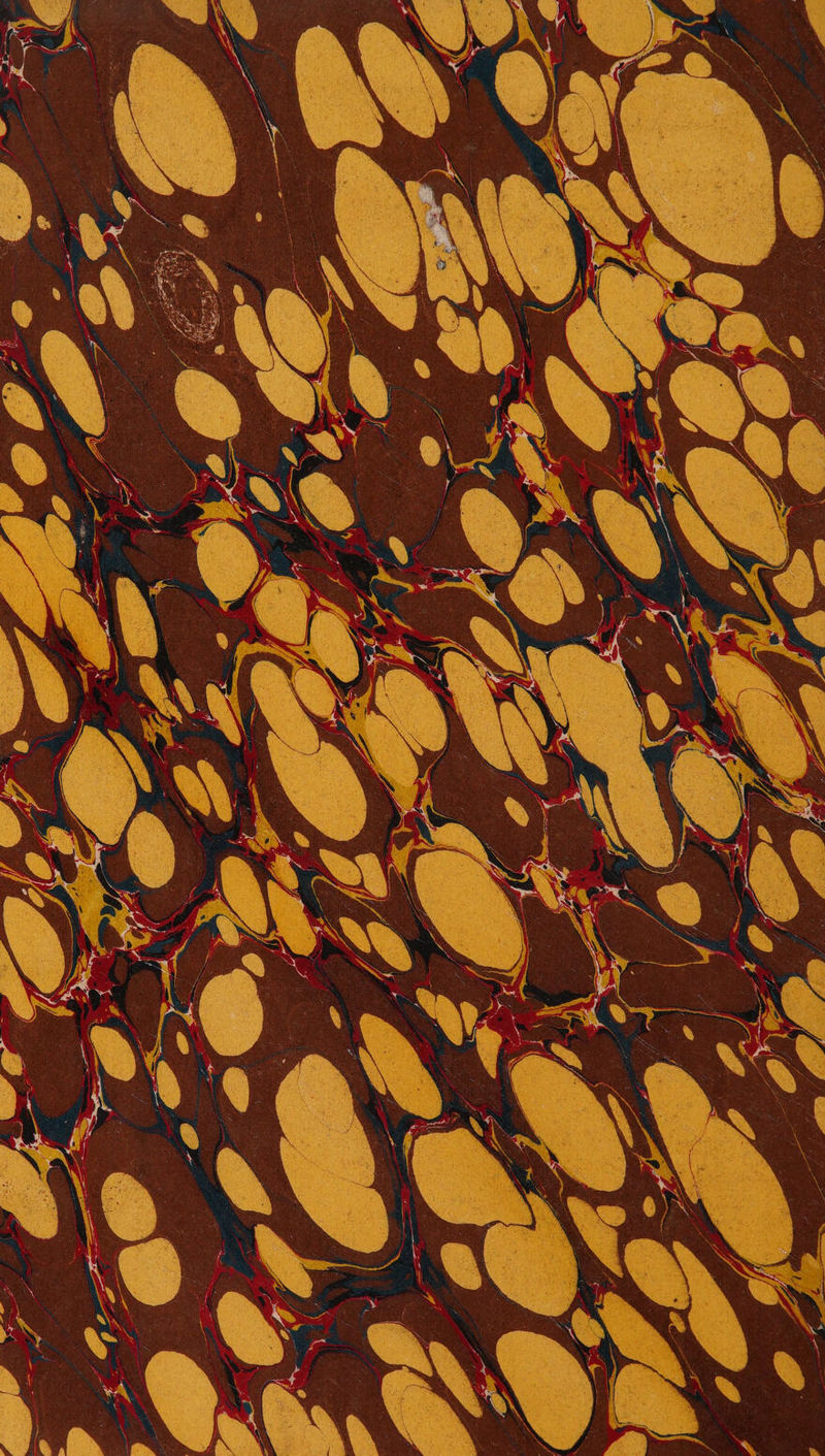 No text description is available for this image