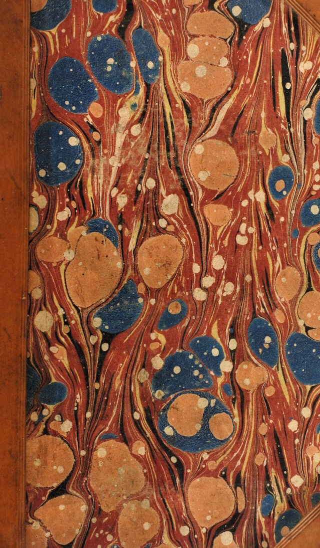 No text description is available for this image