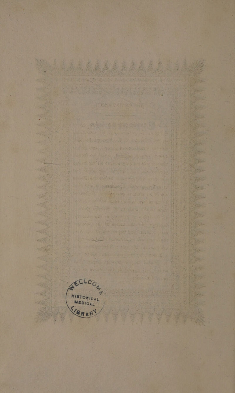 ree ne ee ny ‘ ord A et ve4 y Tet cee WEA TEA Ri a ye : x Ay AOE i ery! Nos aeict 9 aa oe kecee-e! | EB gr se Fine tye we Nor aaa 5 oe Befet Lig iis beiae Tet r Sg OS RE cE 3 pe we . usG * * te Wis ph Rel, bye Sapte Pee pon ~ ea) ie Whe ue. Hske b Pee RY teats Os ark pts : oe od ahh Sea ee of ota + Pe aks aah J) Ke be Petey Bre ; Tahu Seat &lt; cae tp iy, So eae ae knees (Br aaa datas, a wah bas a ; ee ae, gone : e ee ater: - fe “ae ‘ iy ahr heer 3 aie Rte ne ay eee ef ae * ie