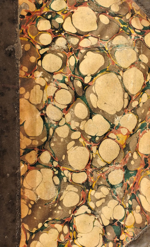 No text description is available for this image