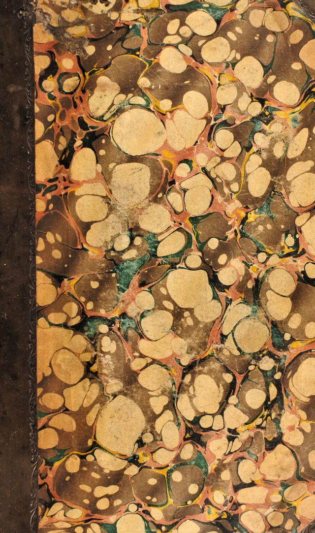 No text description is available for this image