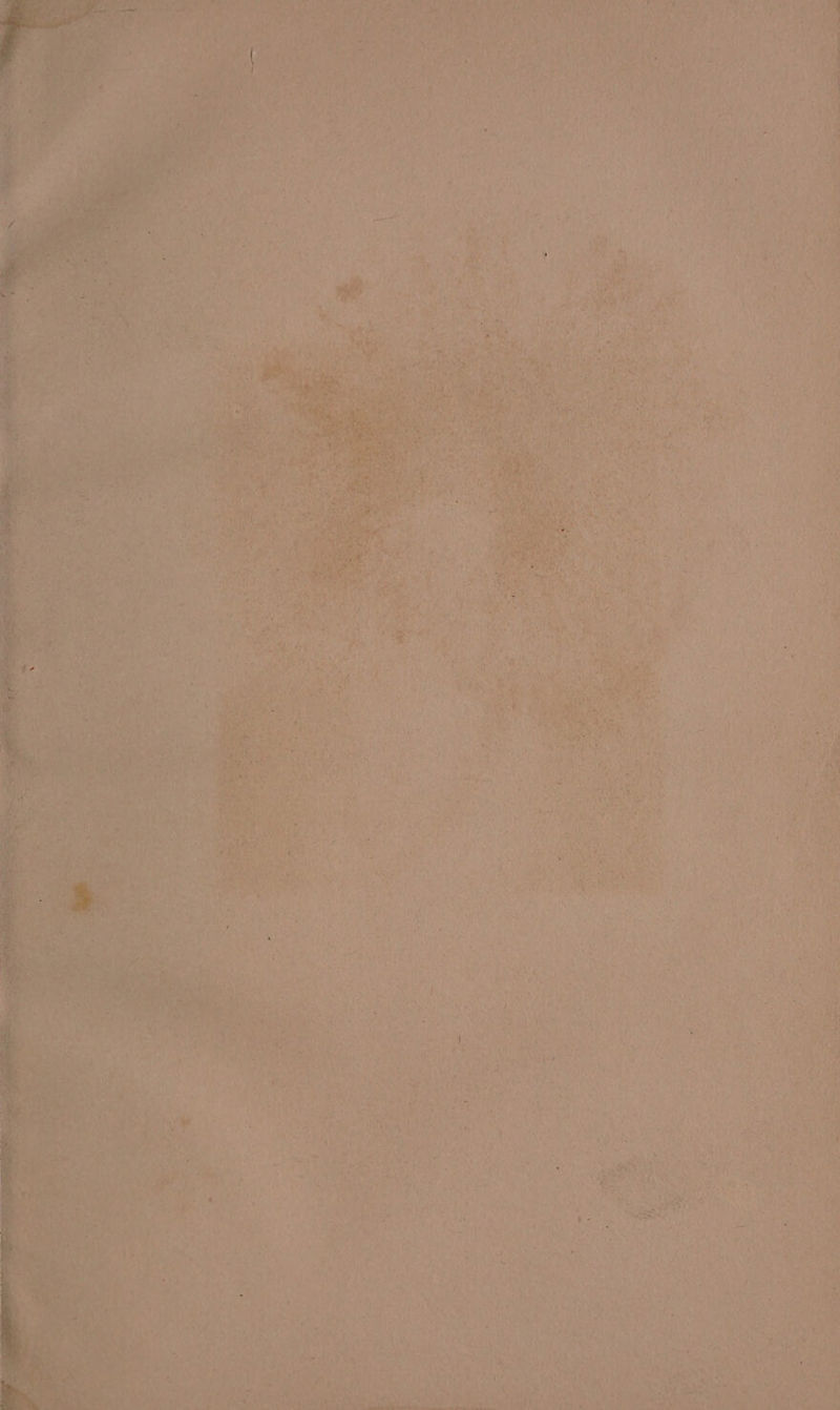 poet OTe Payne oe ” nae, ont ak “Wi Wy