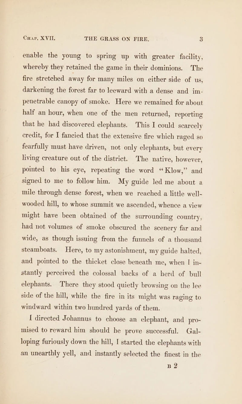 enable the young to spring up with greater facility, whereby they retained the game in their dominions. The fire stretched away for many miles on either side of us, darkening the forest far to leeward with a dense and im- penetrable canopy of smoke. Here we remained for about half an hour, when one of the men returned, reporting that he had discovered elephants. This I could scarcely credit, for I fancied that the extensive fire which raged so fearfully must have driven, not only elephants, but every living creature out of the district. The native, however, pomted to his eye, repeating the word “Klow,” and signed to me to follow him. My guide led me about a mile through dense forest, when we reached a little well- wooded hill, to whose summit we ascended, whence a view might have been obtained of the surrounding country, had not volumes of smoke obscured the scenery far and wide, as though issuing from the funnels of a thousand steamboats. Here, to my astonishment, my guide halted, and pointed to the thicket close beneath me, when I in- stantly perceived the colossal backs of a herd of bull elephants. There they stood quietly browsing on the lee side of the hill, while the fire in its might was raging to windward within two hundred yards of them. I directed Johannus to choose an elephant, and_pro- mised to reward him should he prove successful. CGal- loping furiously down the hill, I started the elephants with an unearthly yell, and instantly selected the finest in the B2
