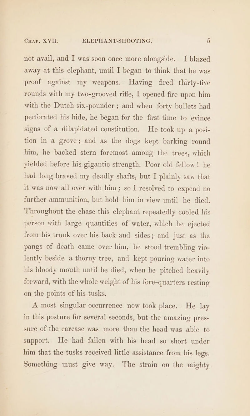 not avail, and I was soon once more alongside. I blazed away at this elephant, until I began to think that he was proof against my weapons. Having fired thirty-five rounds with my two-grooved rifle, I opened fire upon him with the Dutch six-pounder; and when forty bullets had perforated his hide, he began for the first time to evince signs of a dilapidated constitution. He took up a posi- tion in a grove; and as the dogs kept barking round him, he backed stern foremost among the trees, which yielded before his gigantic strength. Poor old fellow! he had long braved my deadly shafts, but I plainly saw that it was now all over with him; so I resolved to expend no further ammunition, but hold him in view until he died. Throughout the chase this elephant repeatedly cooled his person with large quantities of water, which he ejected from his trunk over his back and sides; and just as the pangs of death came over him, he stood trembling vio- lently beside a thorny tree, and kept pouring water into his bloody mouth until he died, when he pitched heavily forward, with the whole weight of his fore-quarters resting on the points of his tusks. A most singular occurrence now took place. He lay in this posture for several seconds, but the amazing pres- sure of the carcase was more than the head was able to support. He had fallen with his head so short under him that the tusks received little assistance from his legs. Something must give way. The strain on the mighty