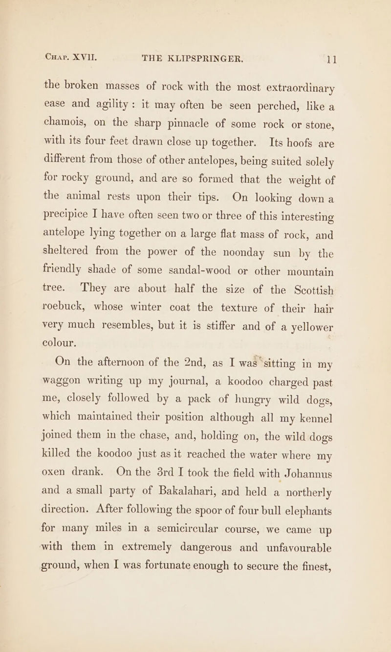 the broken masses of rock with the most extraordinary ease and agility: it may often be seen perched, like a chamois, on the sharp pinnacle of some rock or stone, with its four feet drawn close up together. Its hoofs are different from those of other antelopes, being suited solely for rocky ground, and are so formed that the weight of the animal rests upon their tips. On looking down a precipice I have often seen two or three of this interesting antelope lying together on a large flat mass of rock, and sheltered from the power of the noonday sun by the friendly shade of some sandal-wood or other mountain tree. They are about half the size of the Scottish roebuck, whose winter coat the texture of their hair very much resembles, but it is stiffer and of a yellower colour. On the afternoon of the 2nd, as I was ‘sitting in my waggon writing up my journal, a koodoo charged past me, closely followed by a pack of hungry wild dogs, which maintained their position although all my kennel joined them in the chase, and, holding on, the wild dogs killed the koodoo just as it reached the water where my oxen drank. On the 3rd I took the field with Johannus and a small party of Bakalahari, and held a northerly direction. After following the spoor of four bull elephants for many miles in a semicircular course, we came up with them in extremely dangerous and unfavourable ground, when I was fortunate enough to secure the finest,