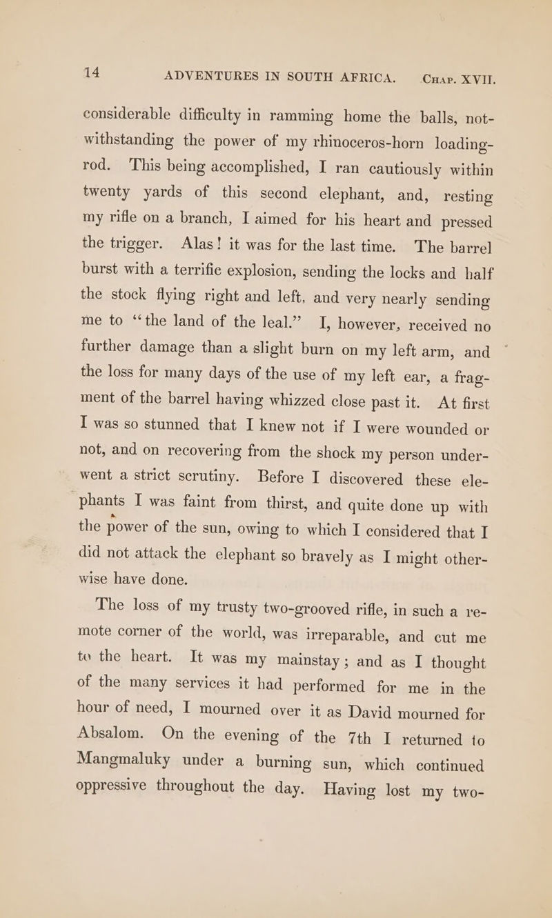 considerable difficulty in ramming home the balls, not- withstanding the power of my rhinoceros-horn loading- rod. This being accomplished, I ran cautiously within twenty yards of this second elephant, and, resting my rifle on a branch, I aimed for his heart and pressed the trigger. Alas! it was for the last time. The barrel burst with a terrific explosion, sending the locks and half the stock flying right and left, and very nearly sending me to ‘the land of the leal.’”’ I, however, received no further damage than a slight burn on my left arm, and the loss for many days of the use of my left ear, a frag- ment of the barrel having whizzed close past it. At first I was so stunned that I knew not if I were wounded or not, and on recovering from the shock my person under- went a strict scrutiny. Before I discovered these ele- -Phants I was faint from thirst, and quite done up with the power of the sun, owing to which I considered that I did not attack the elephant so bravely as I might other- wise have done. The loss of my trusty two-grooved rifle, in such a re- mote corner of the world, was irreparable, and cut me to the heart. It was my mainstay ; and as I thought of the many services it had performed for me in the hour of need, I mourned over it as David mourned for Absalom. On the evening of the 7th I returned to Mangmaluky under a burning sun, which continued oppressive throughout the day. Having lost my two-