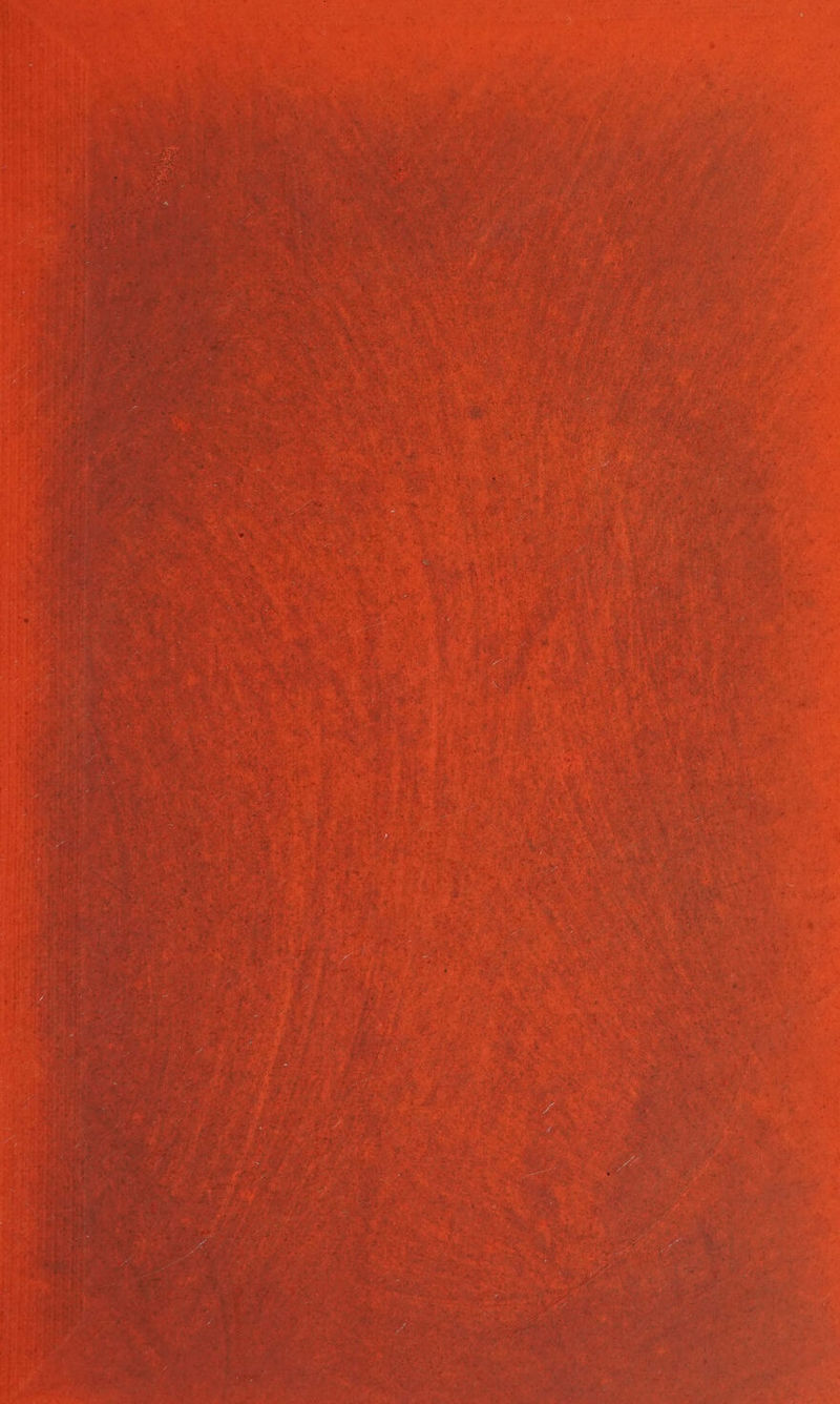 Bo) ae hy papa ee ay te rneay py oo nye ae joel a